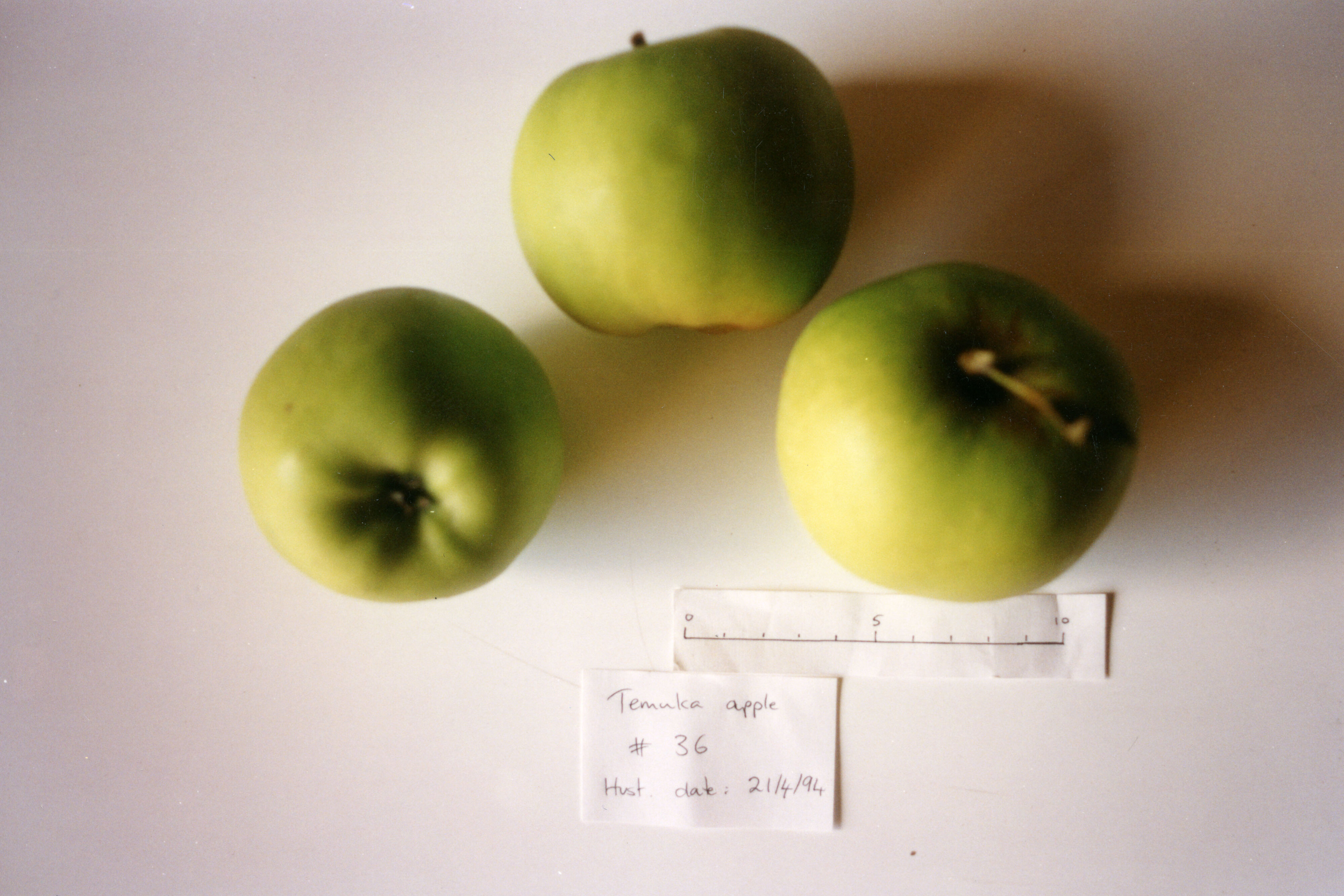 Horticulture Research Images 43 