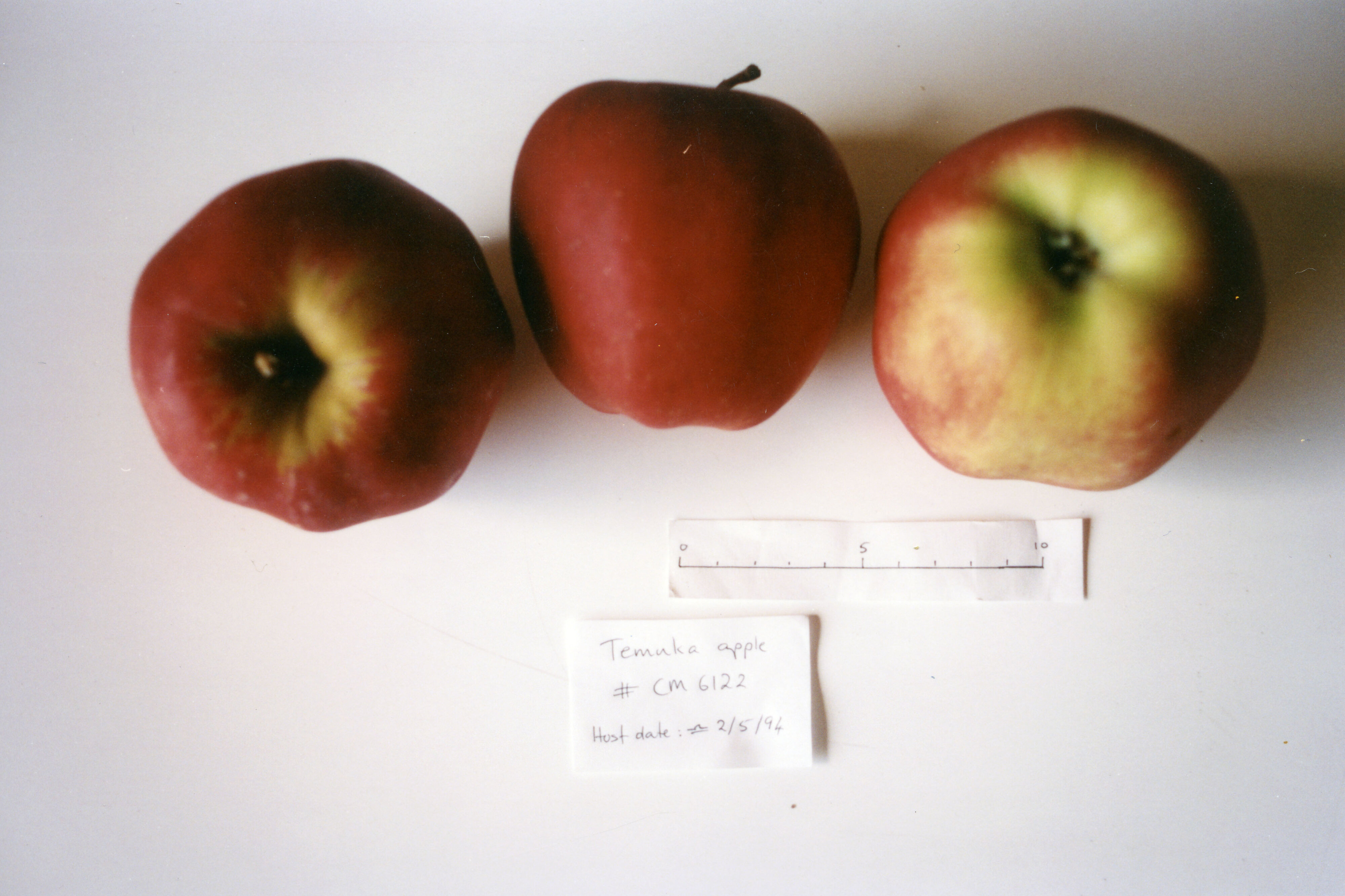 Horticulture Research Images 44