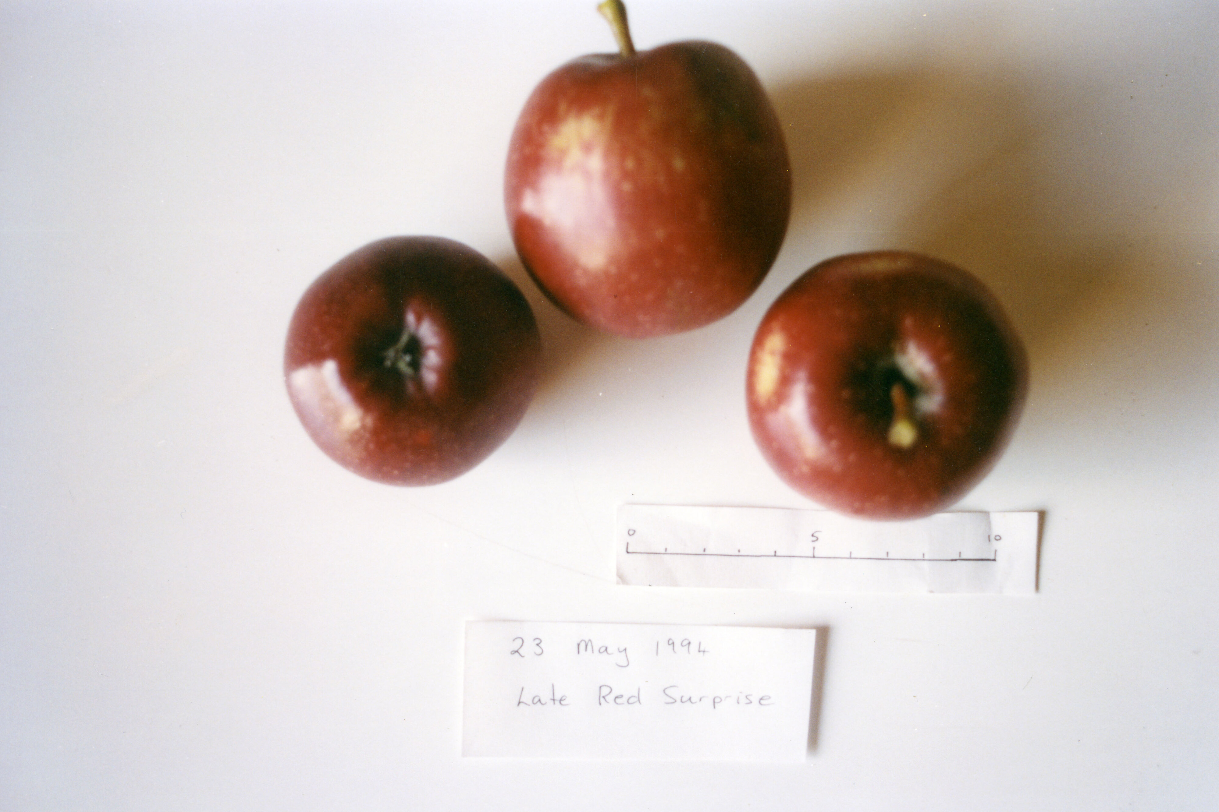 Horticulture Research Images 47