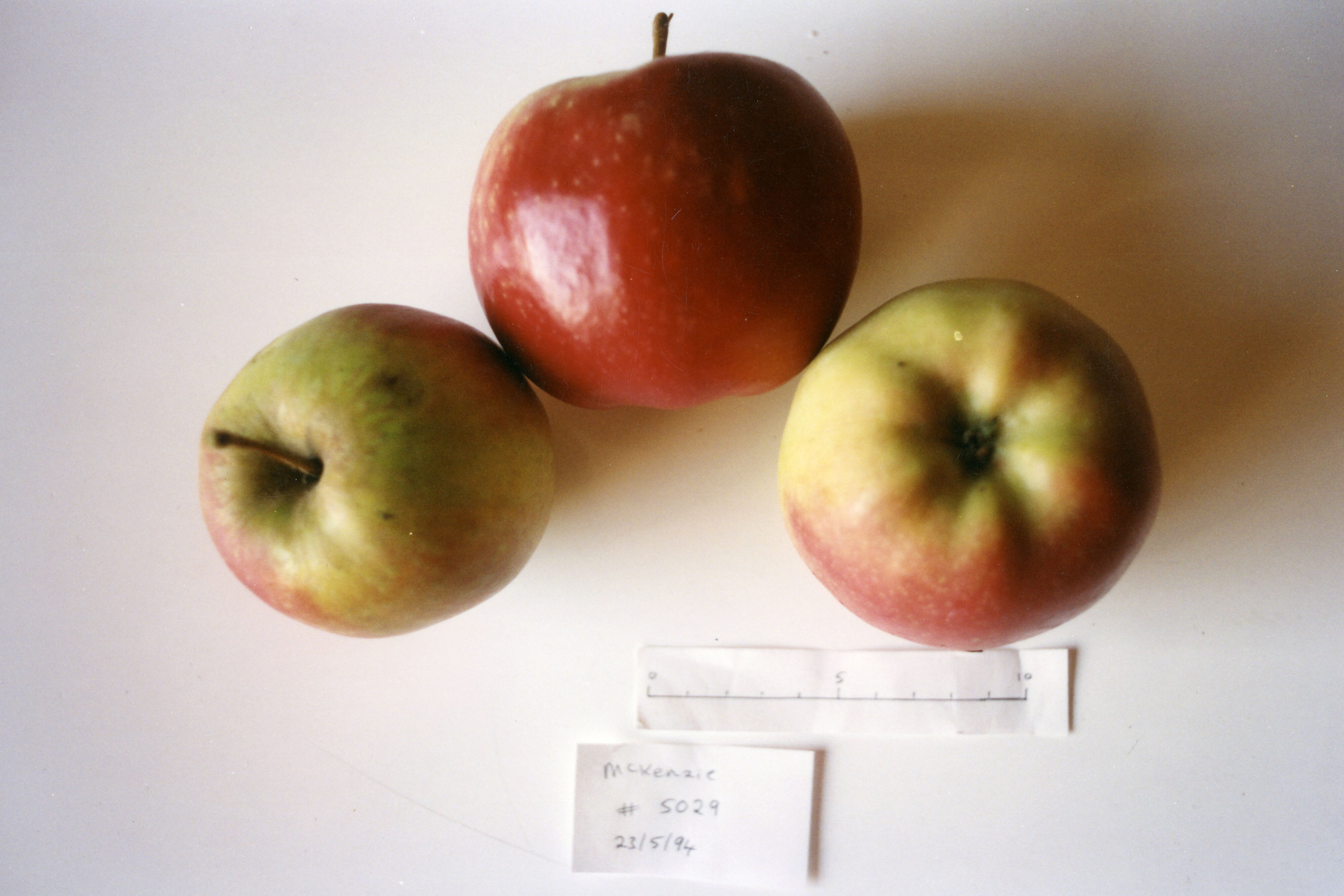 Horticulture Research Images 49