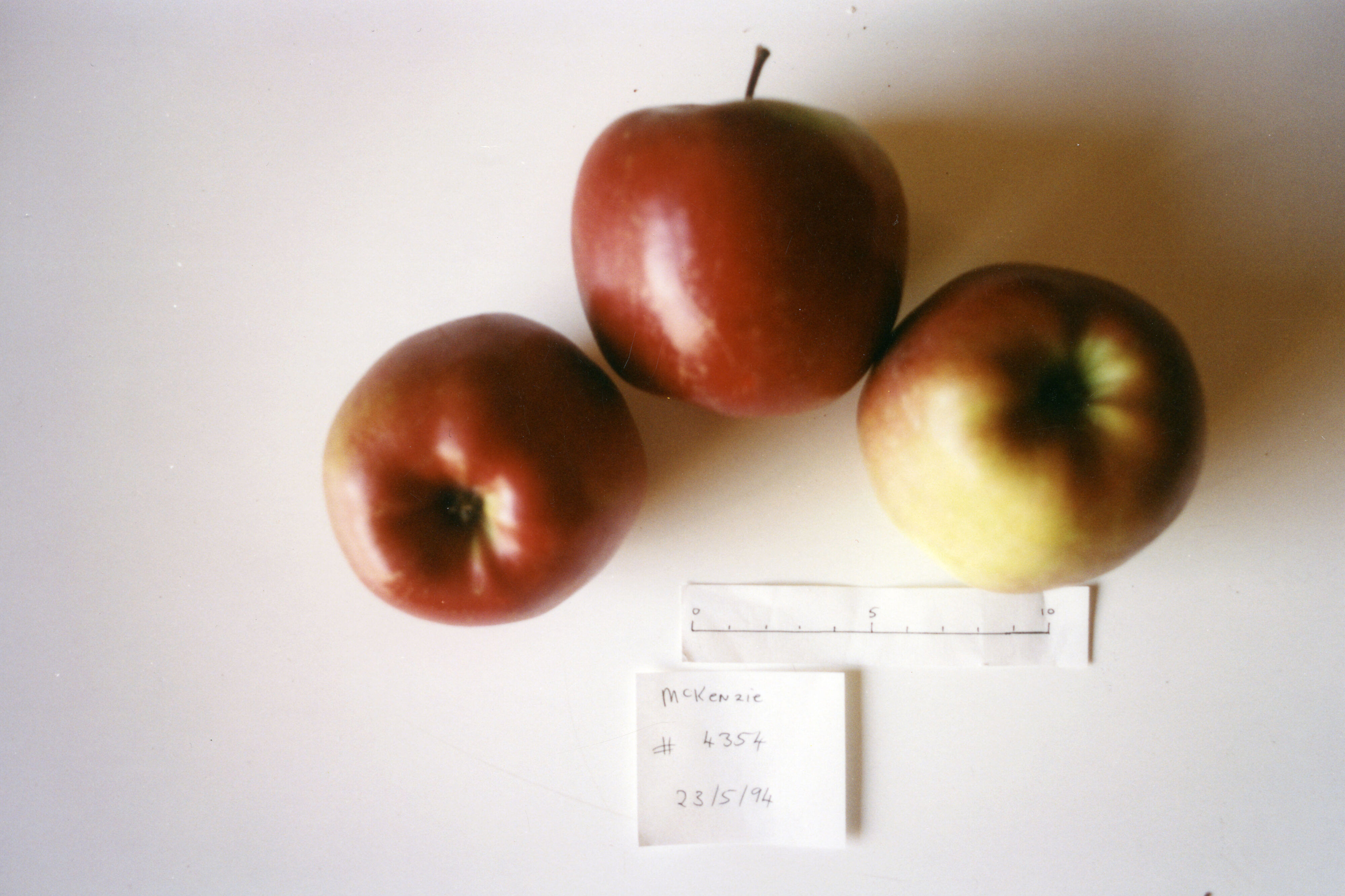Horticulture Research Images 50