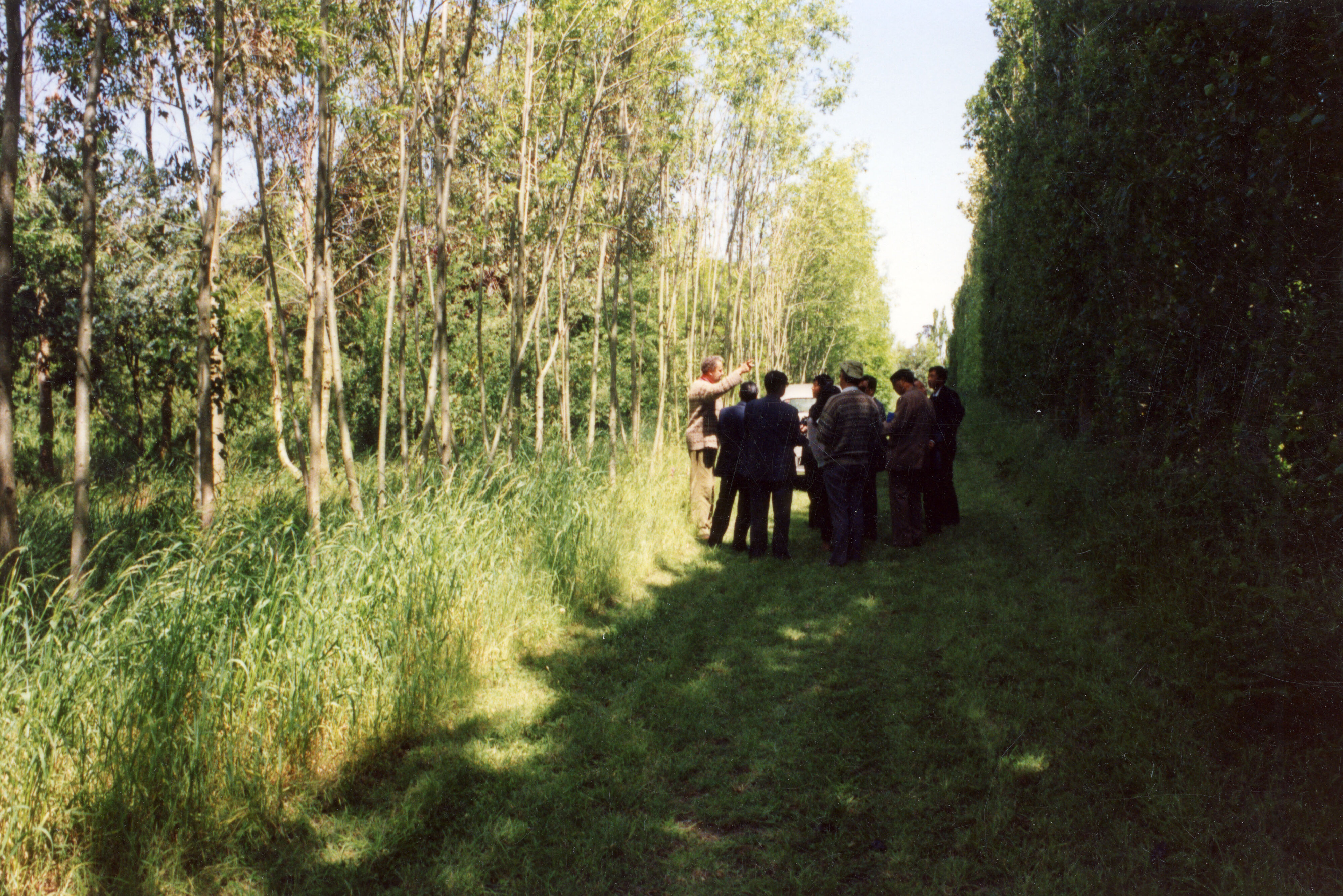 Horticulture Research Images 99