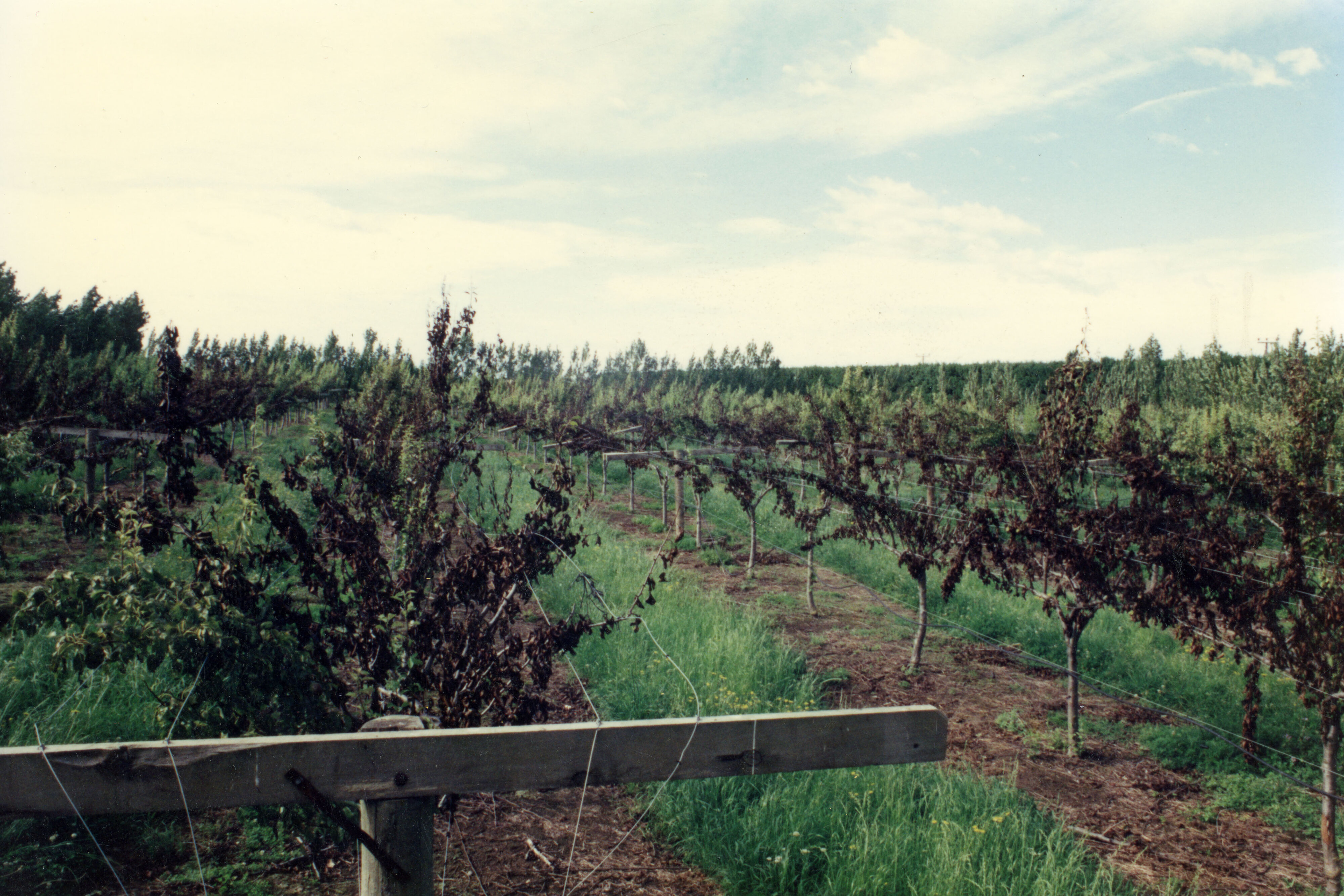 Horticulture Research Images 101