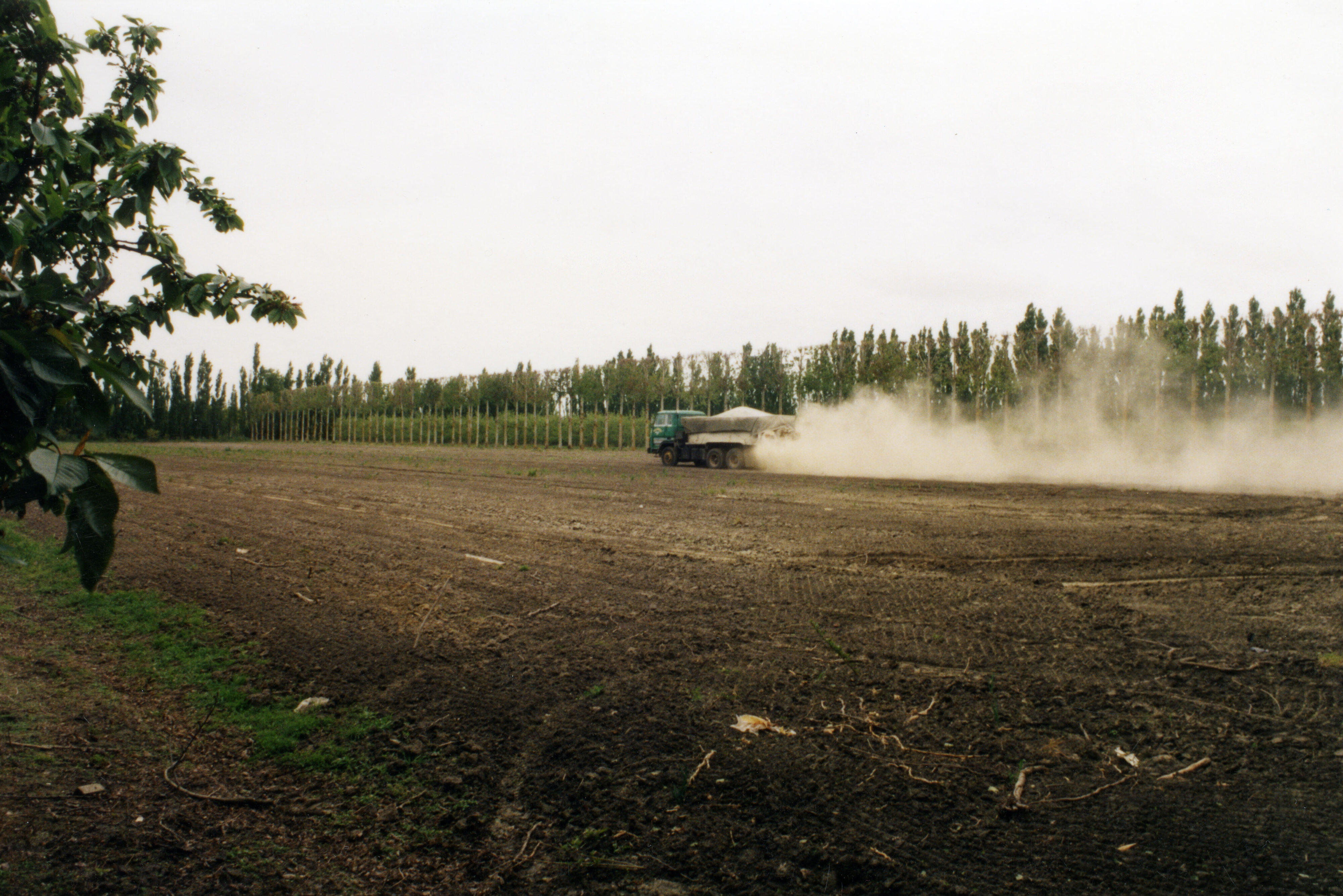 Horticulture Research Images 102