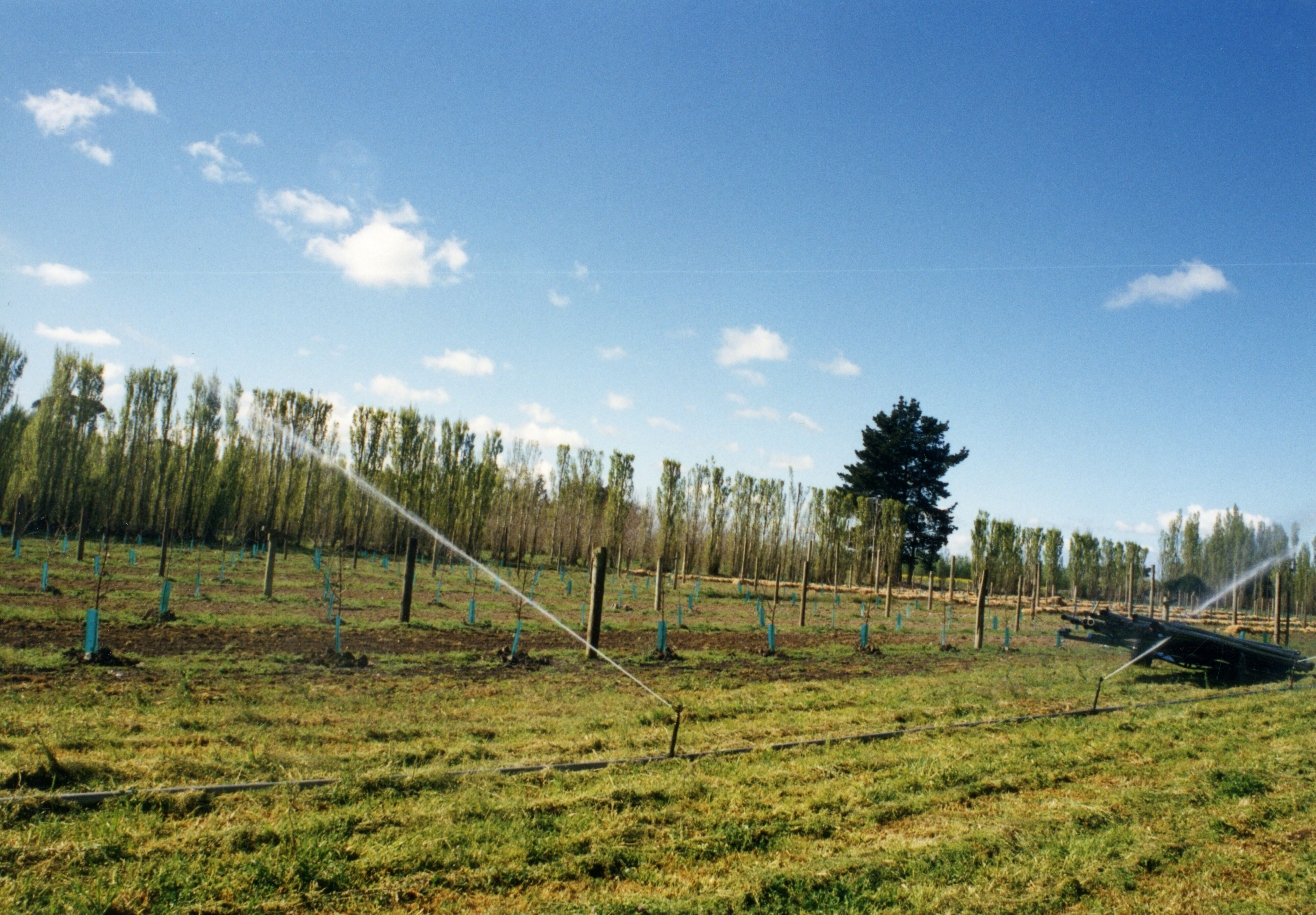 Horticulture Research Images 103