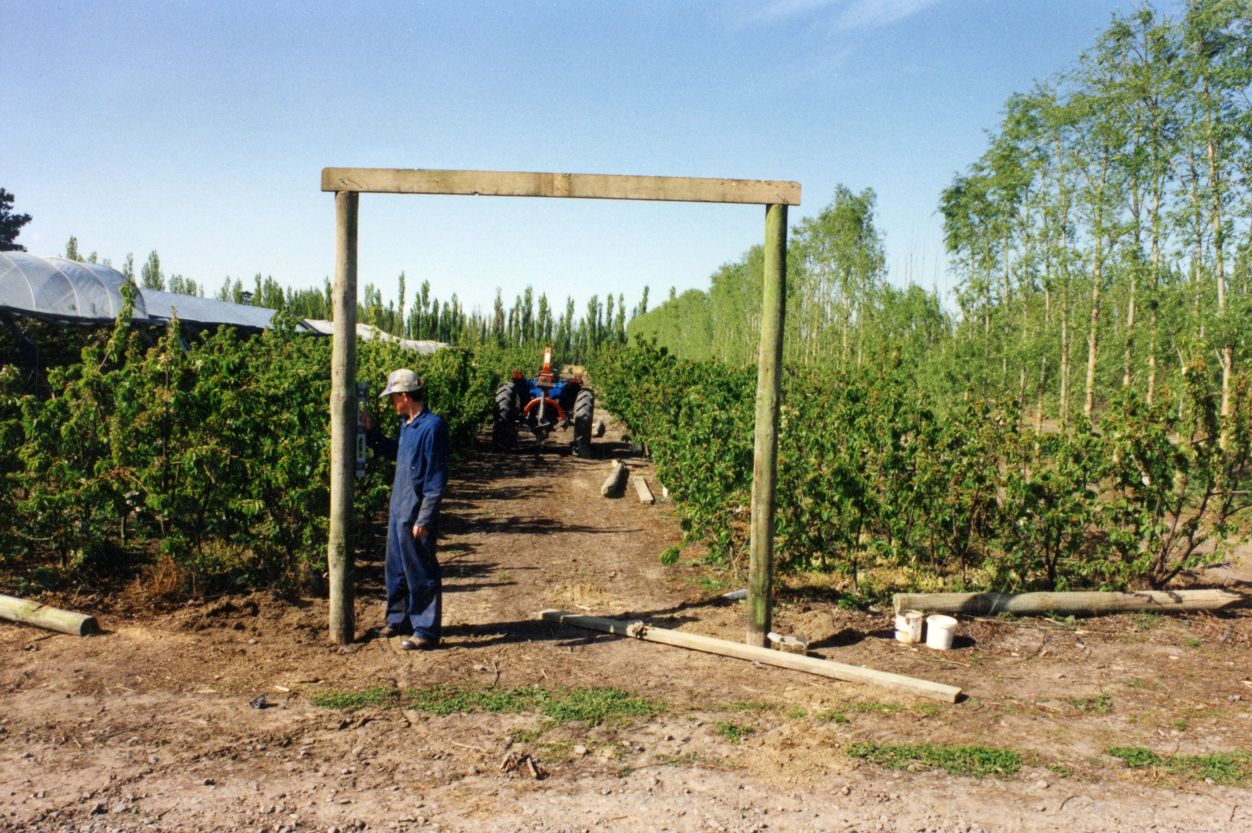 Horticulture Research Images 110
