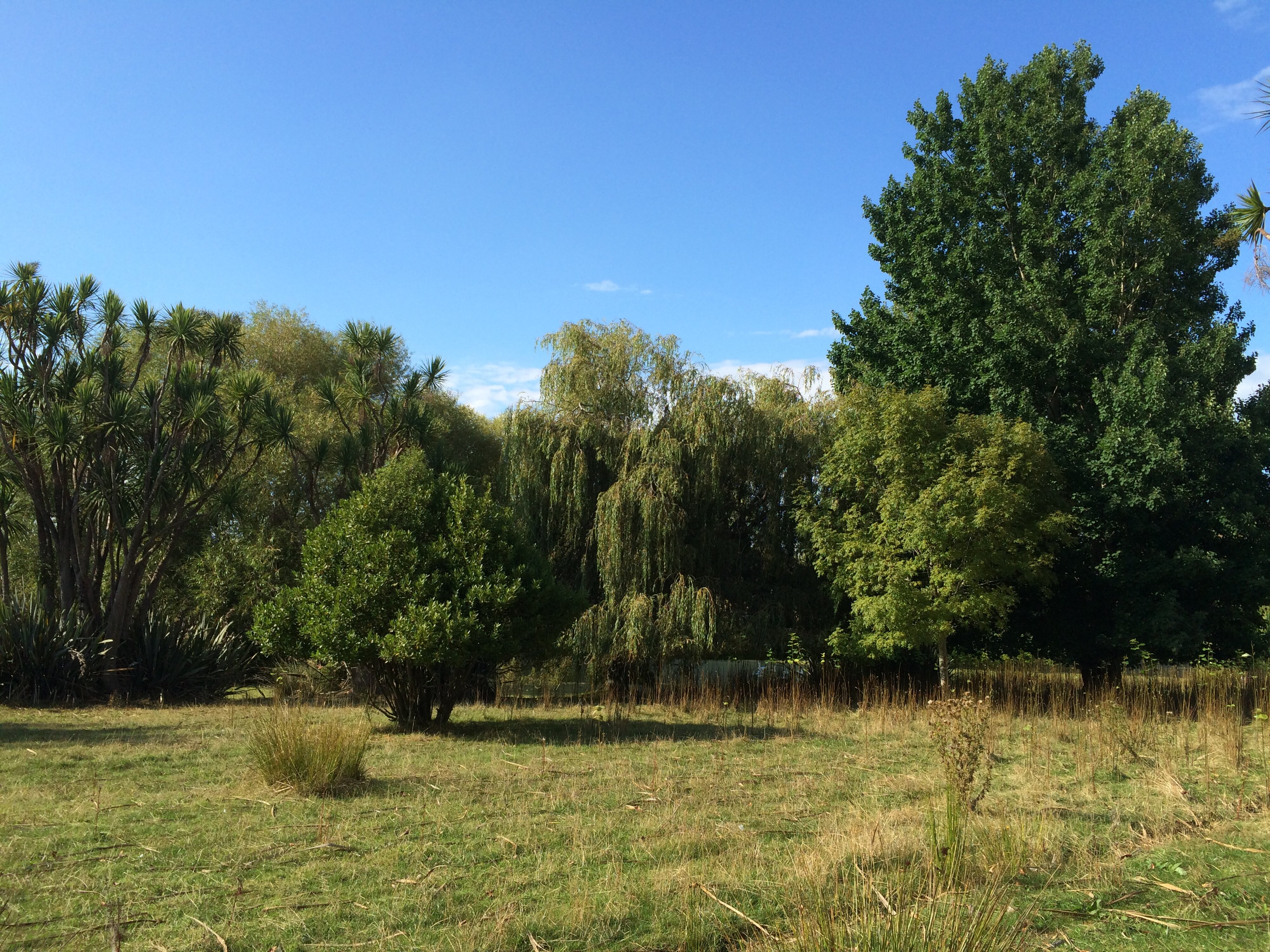 Telford Field Trip 001