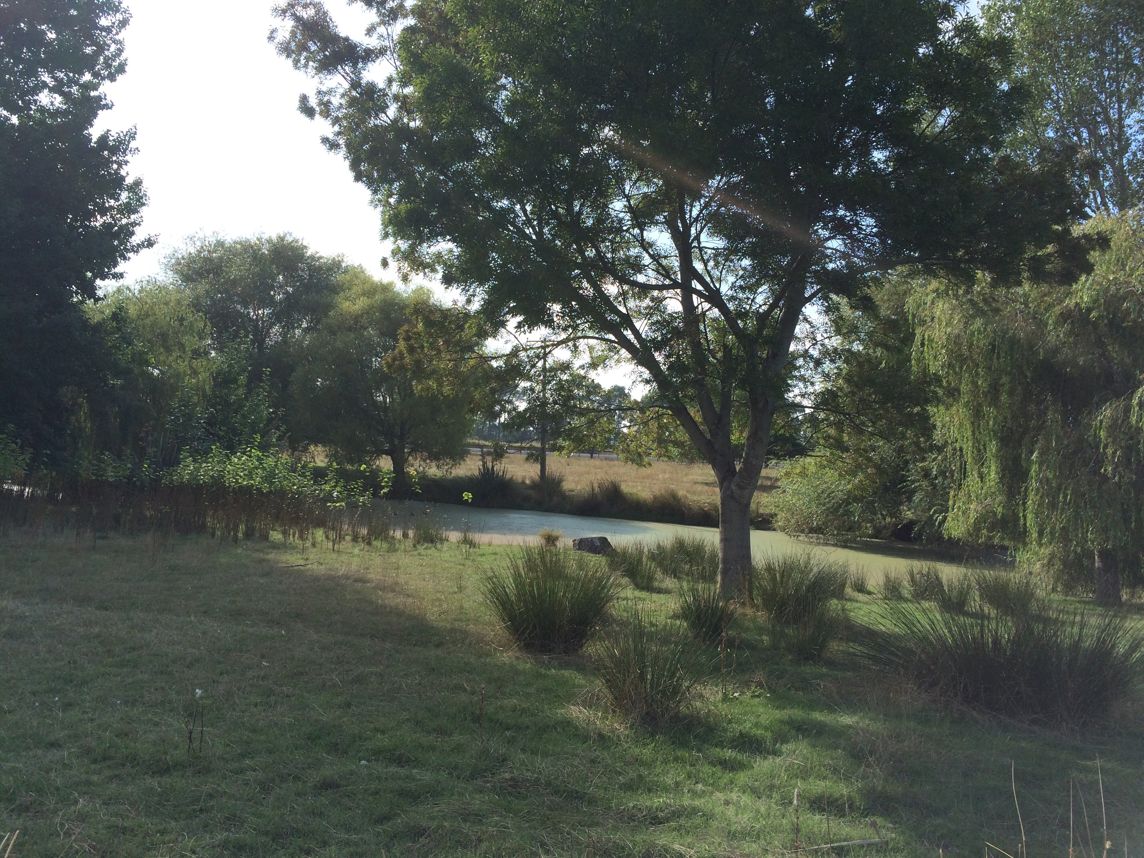 Telford Field Trip 003