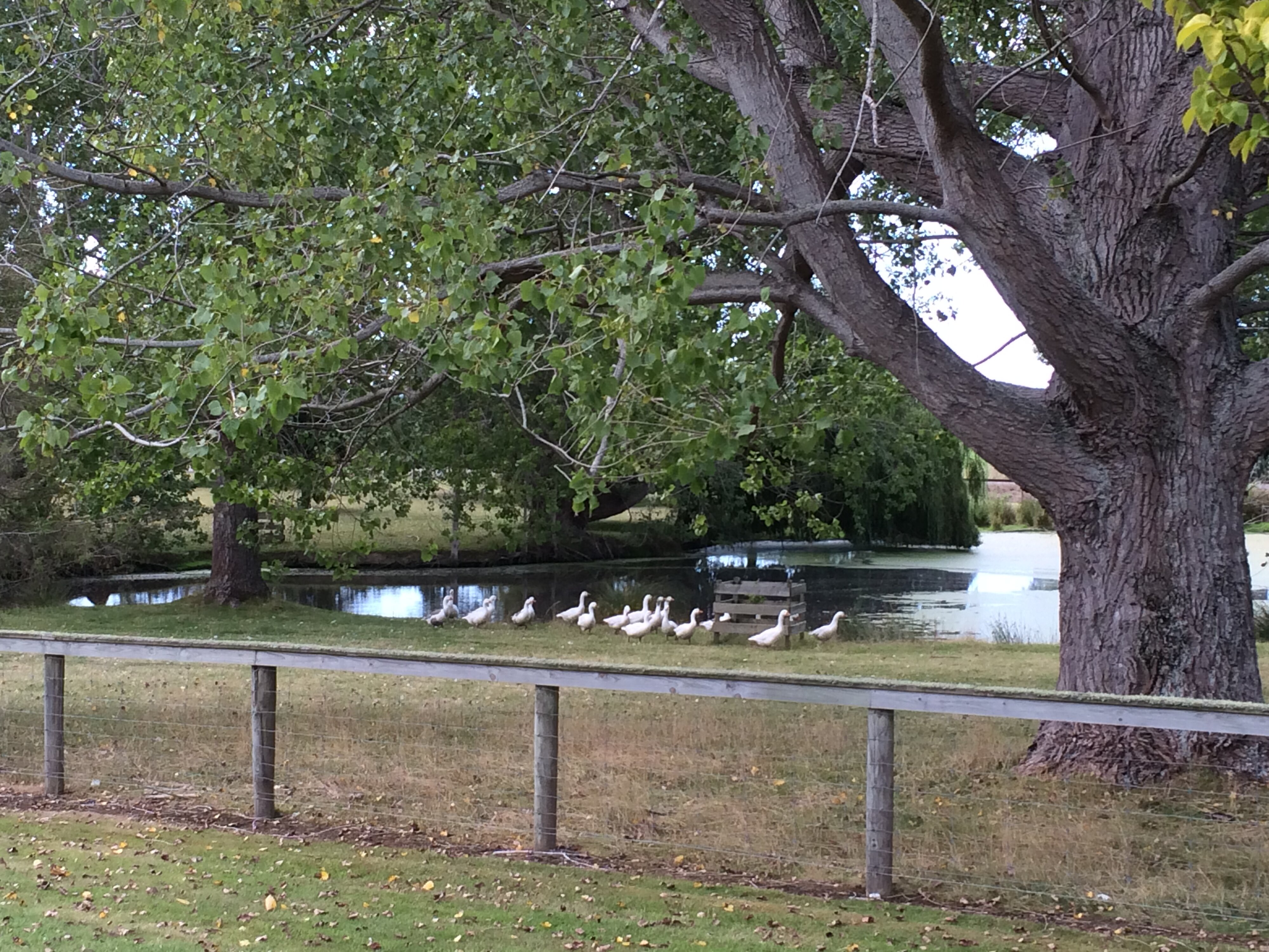 Telford Field Trip 006