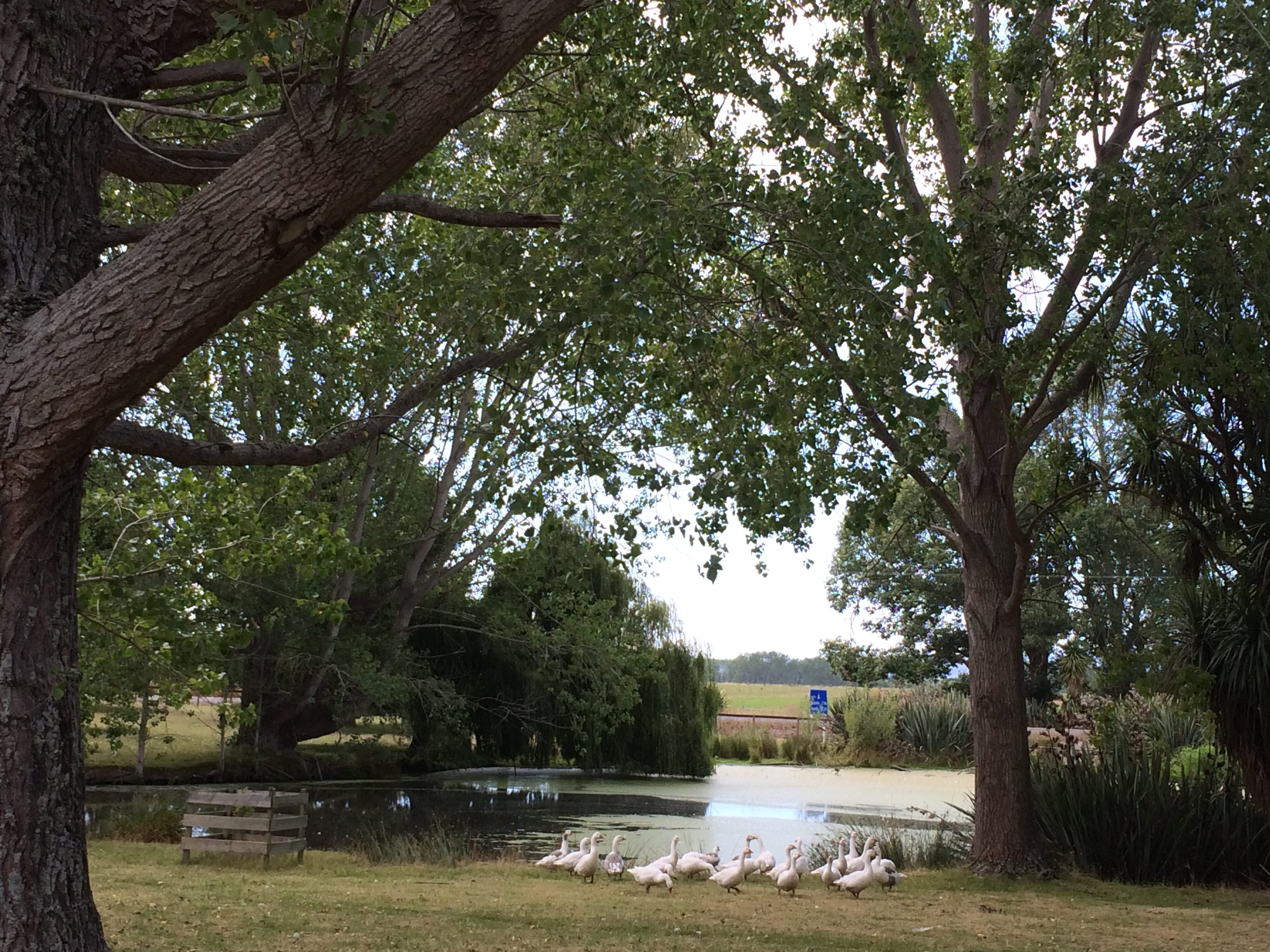 Telford Field Trip 007