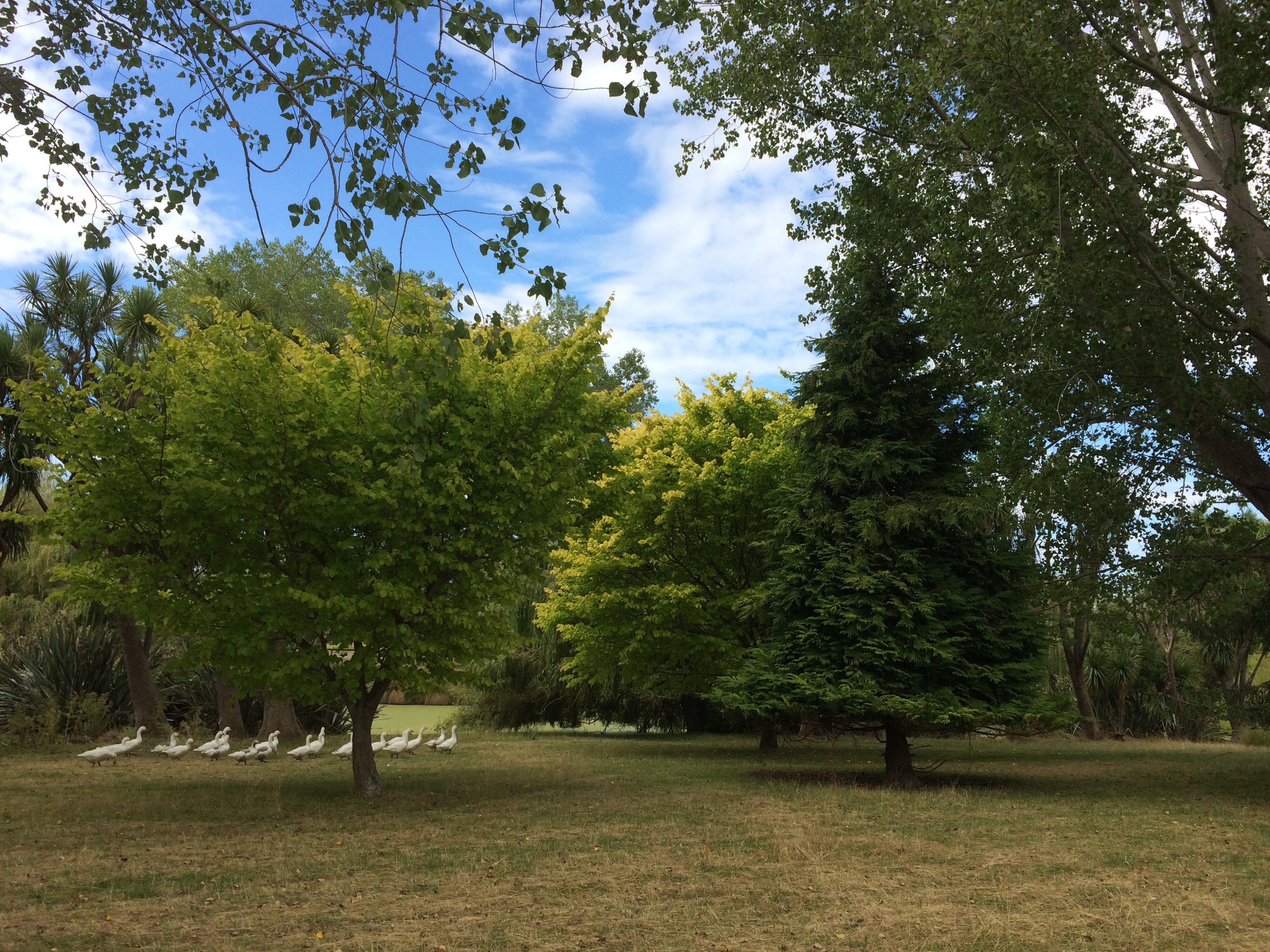 Telford Field Trip 008