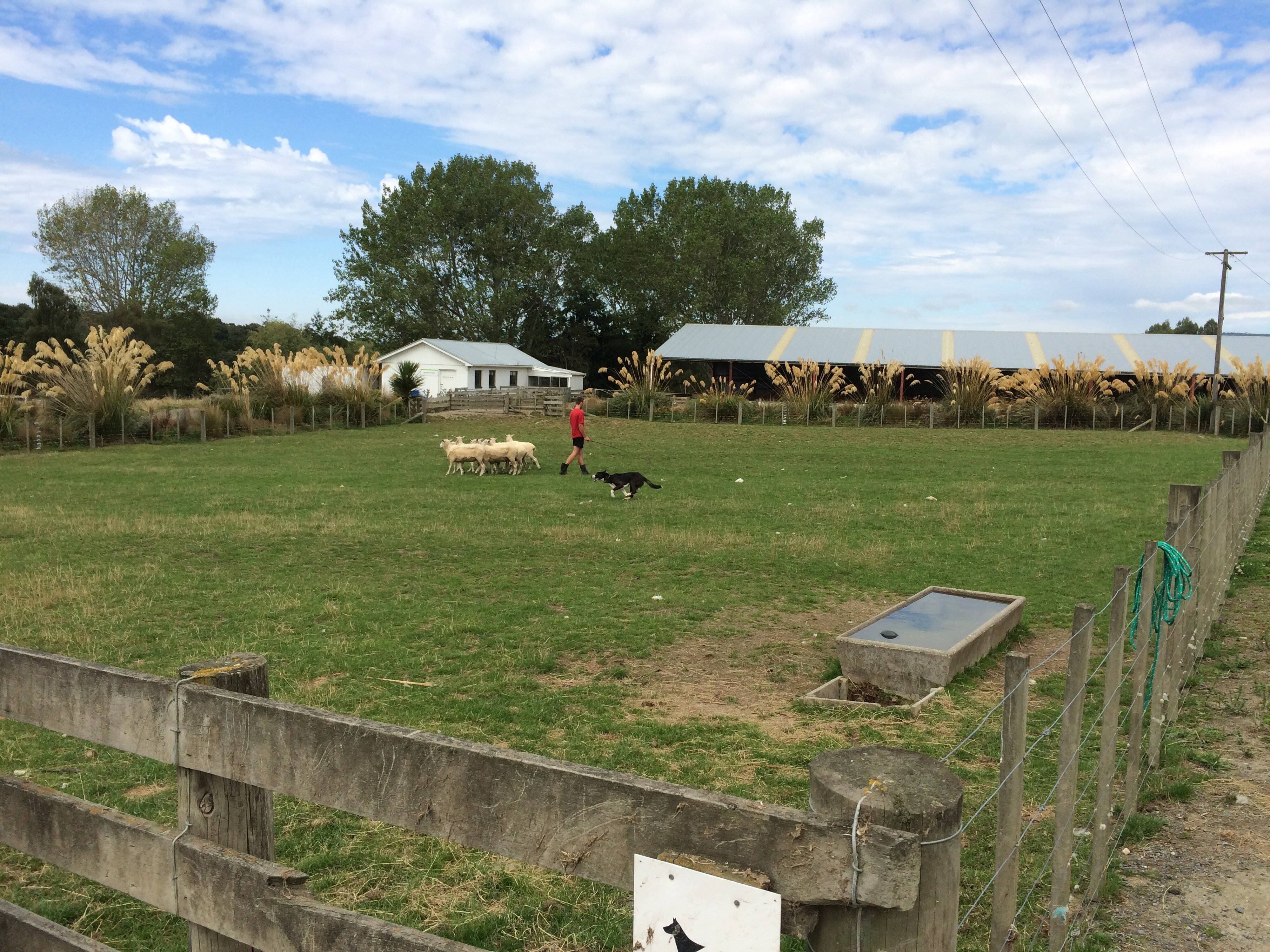 Telford Field Trip 010