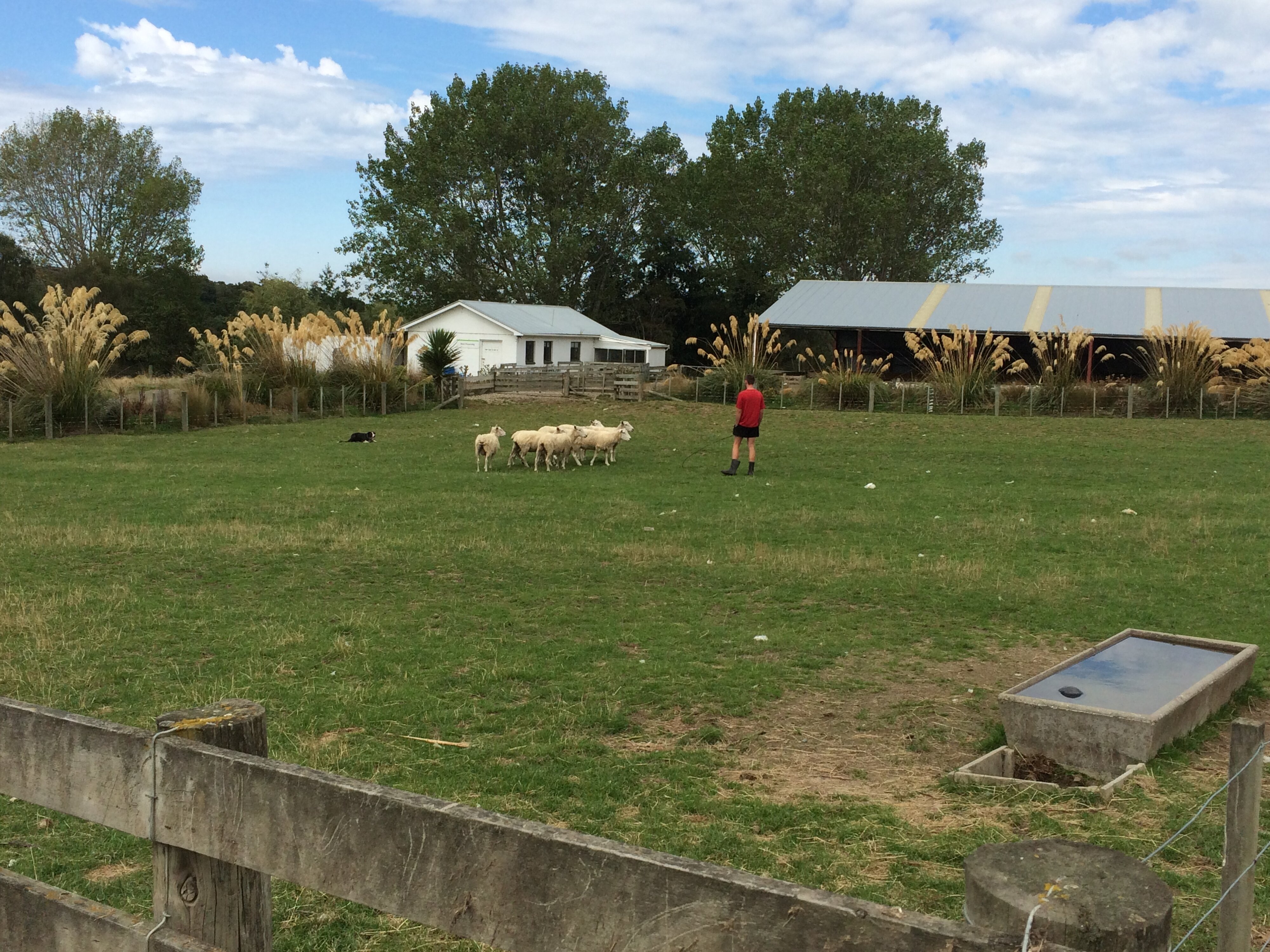 Telford Field Trip 011