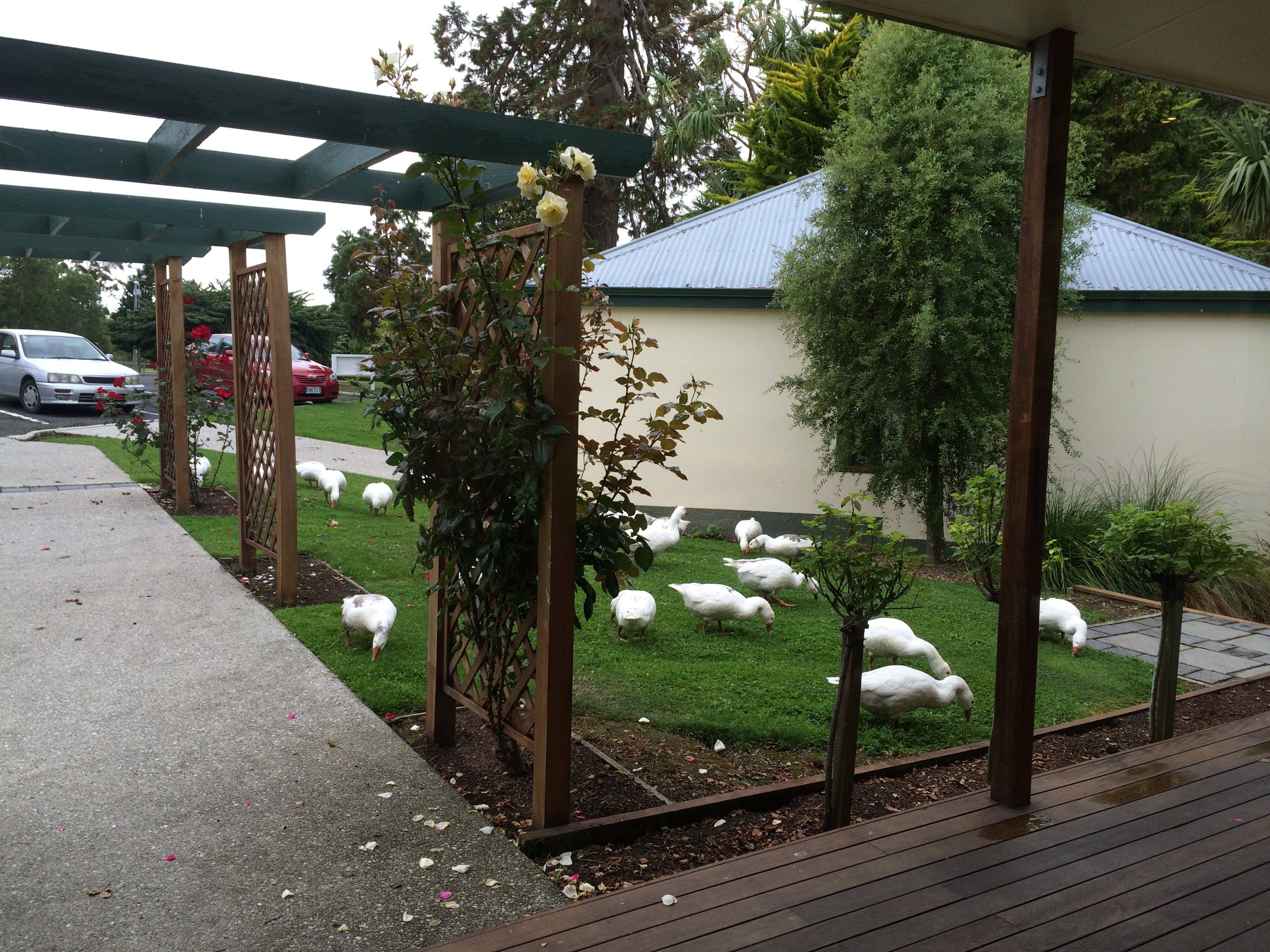 Telford Field Trip 013