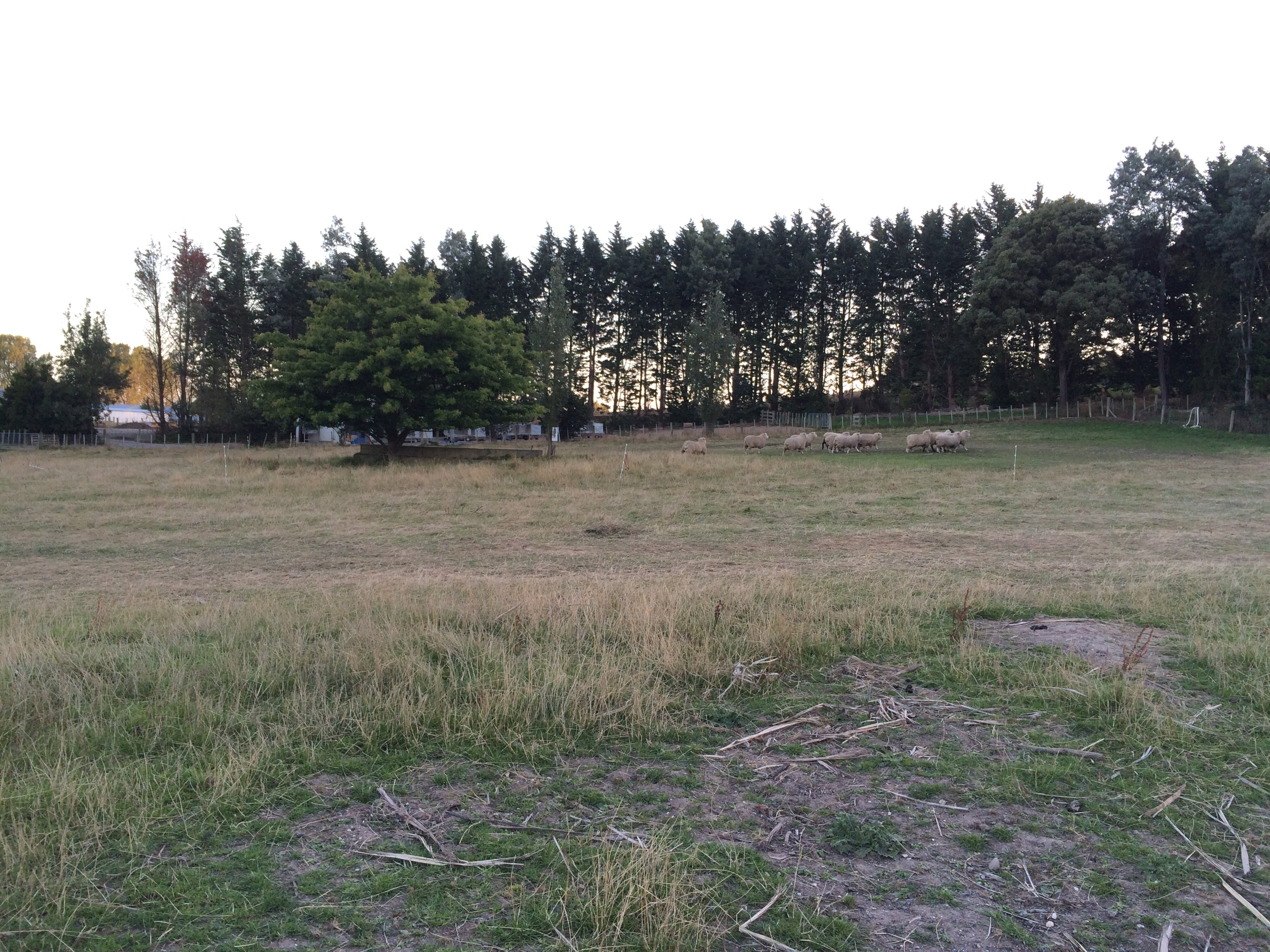 Telford Field Trip 029