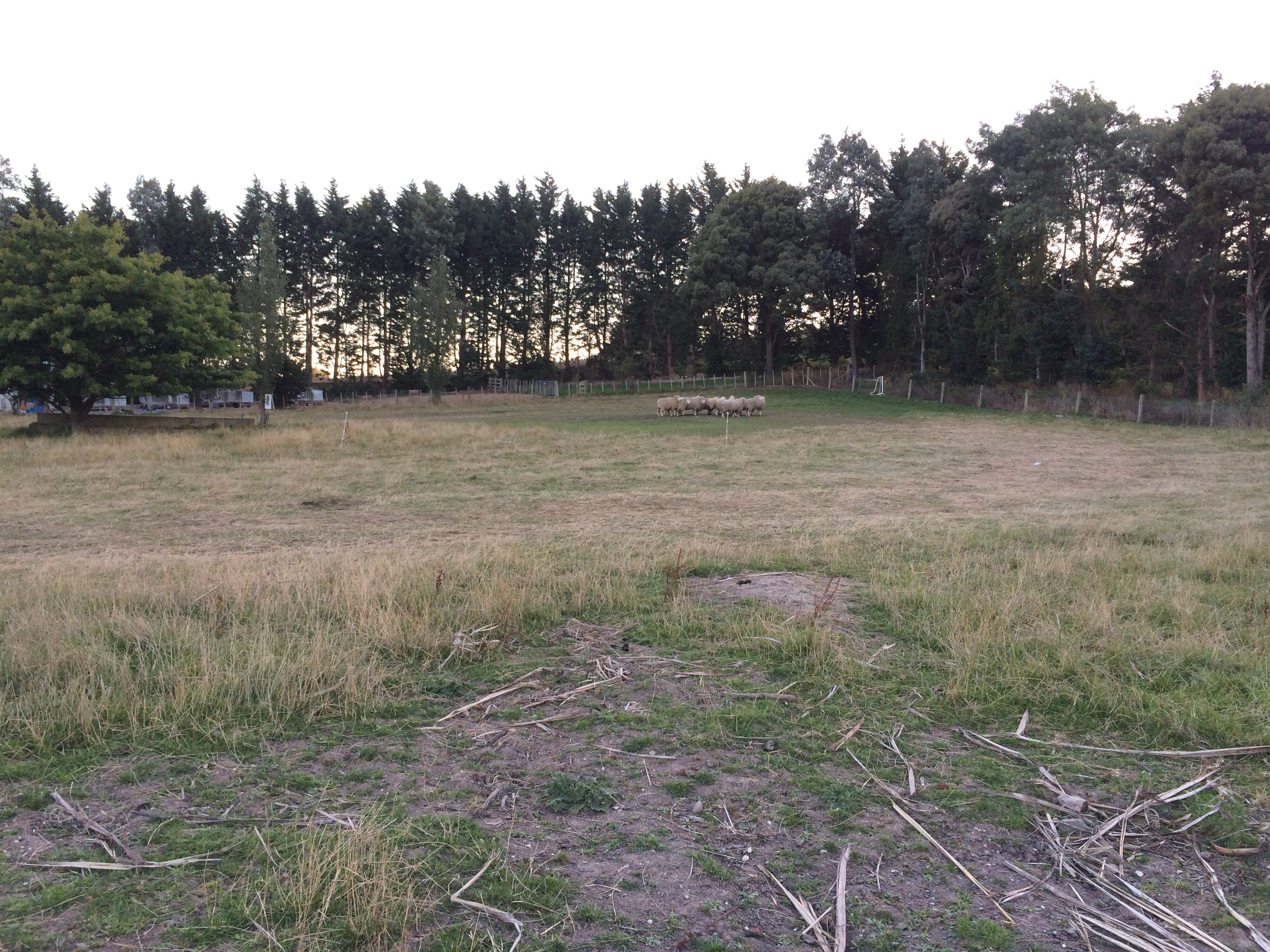 Telford Field Trip 030