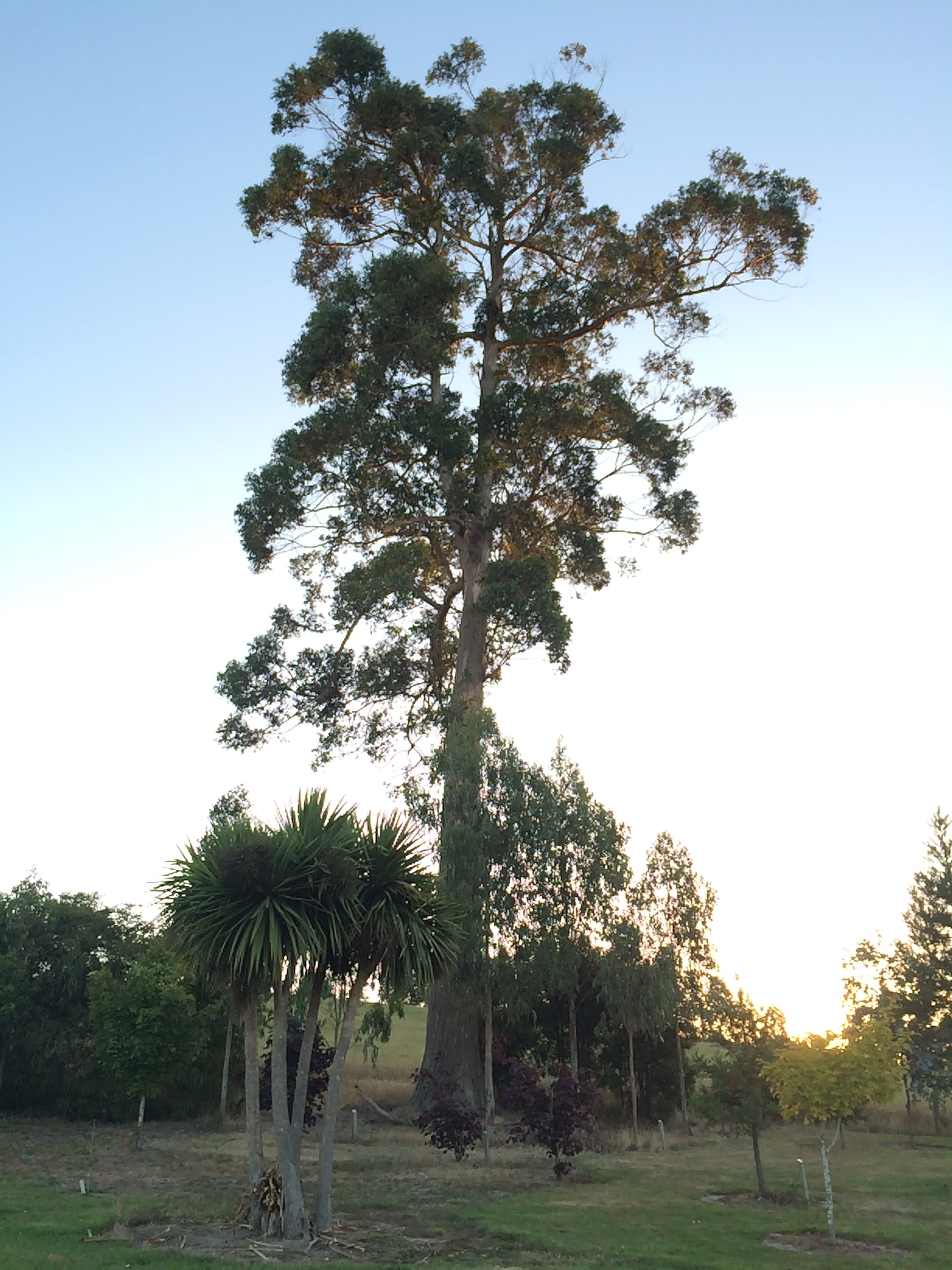 Telford Field Trip 031