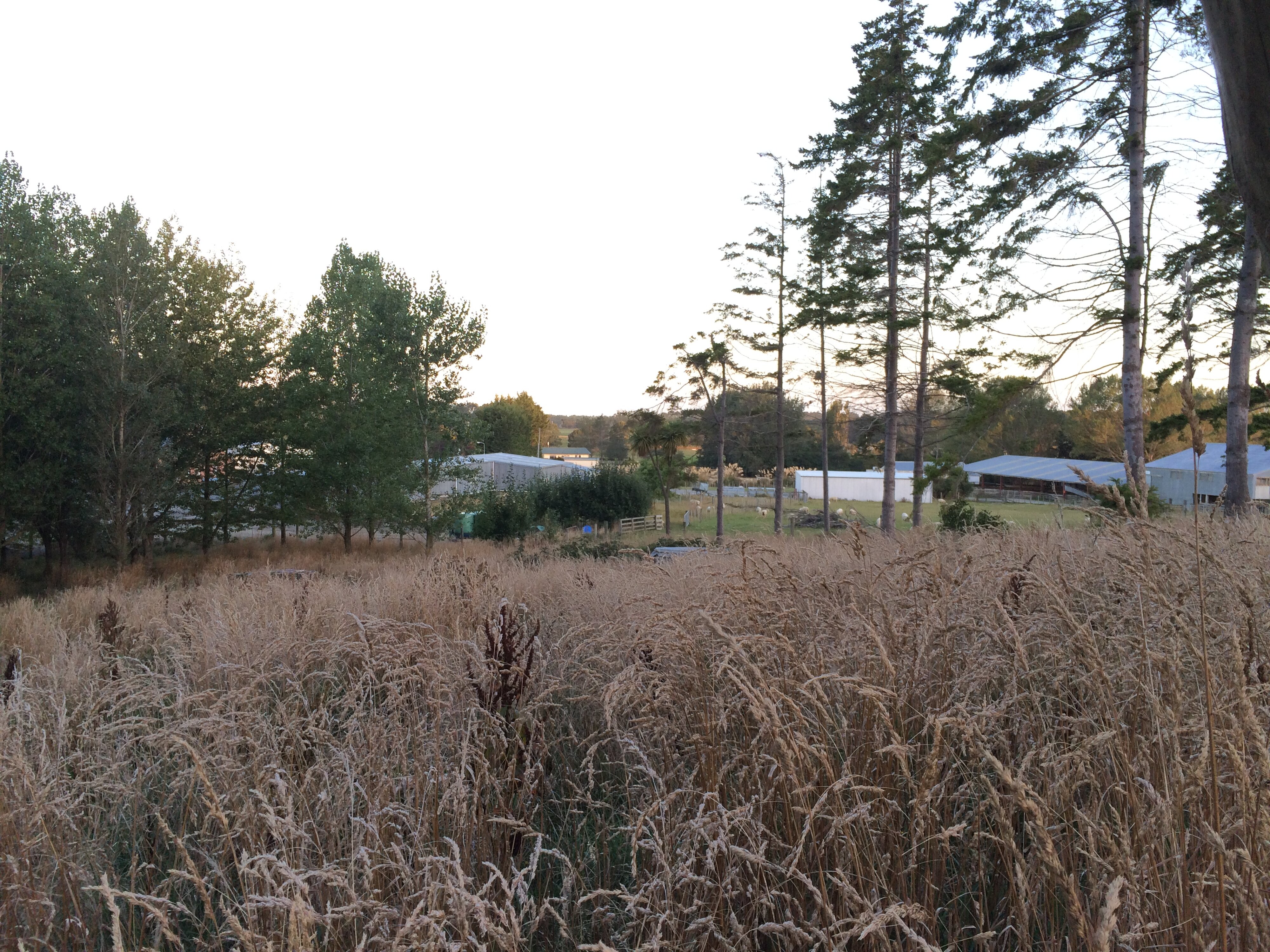 Telford Field Trip 032