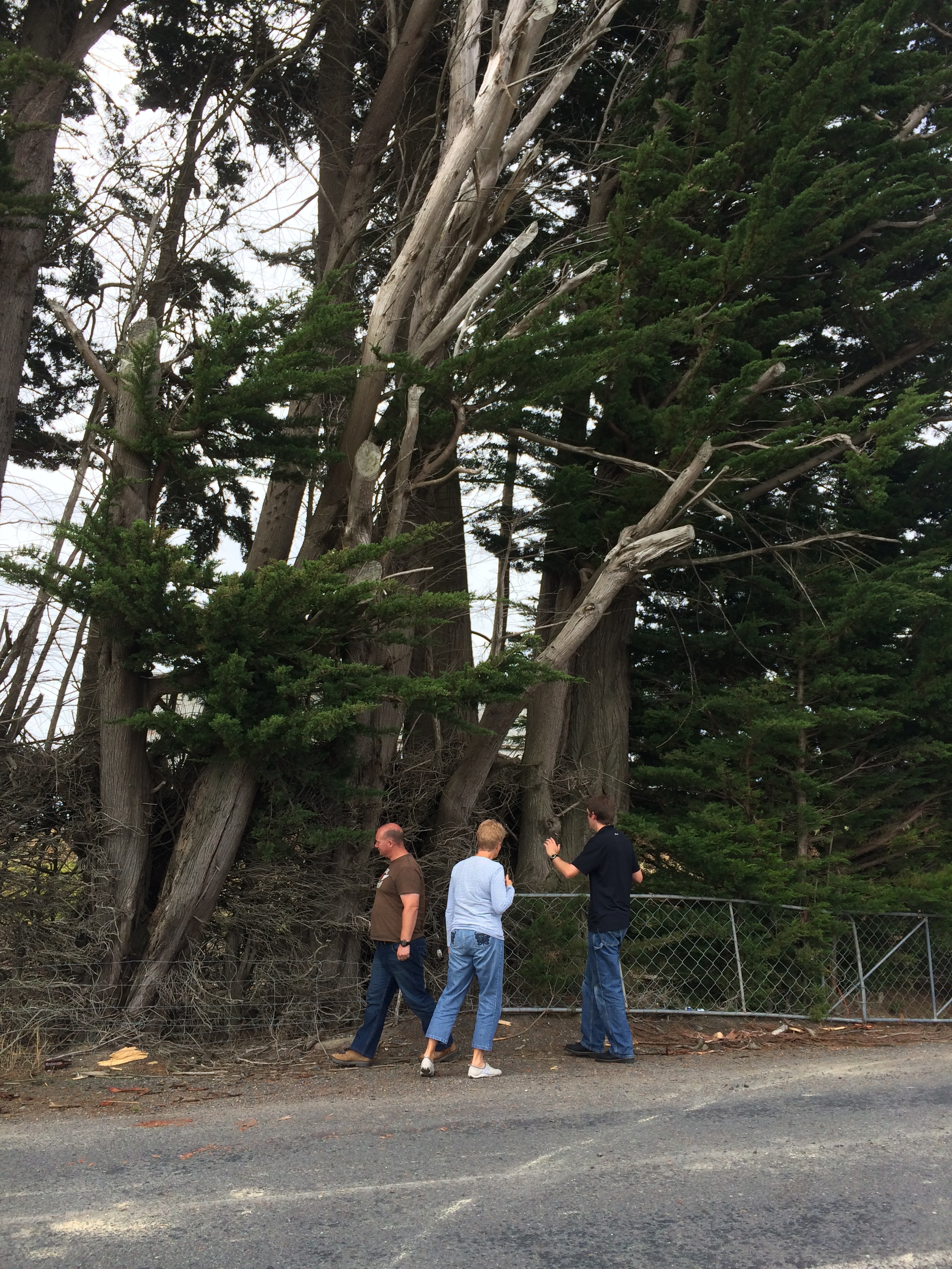 Telford Field Trip 039