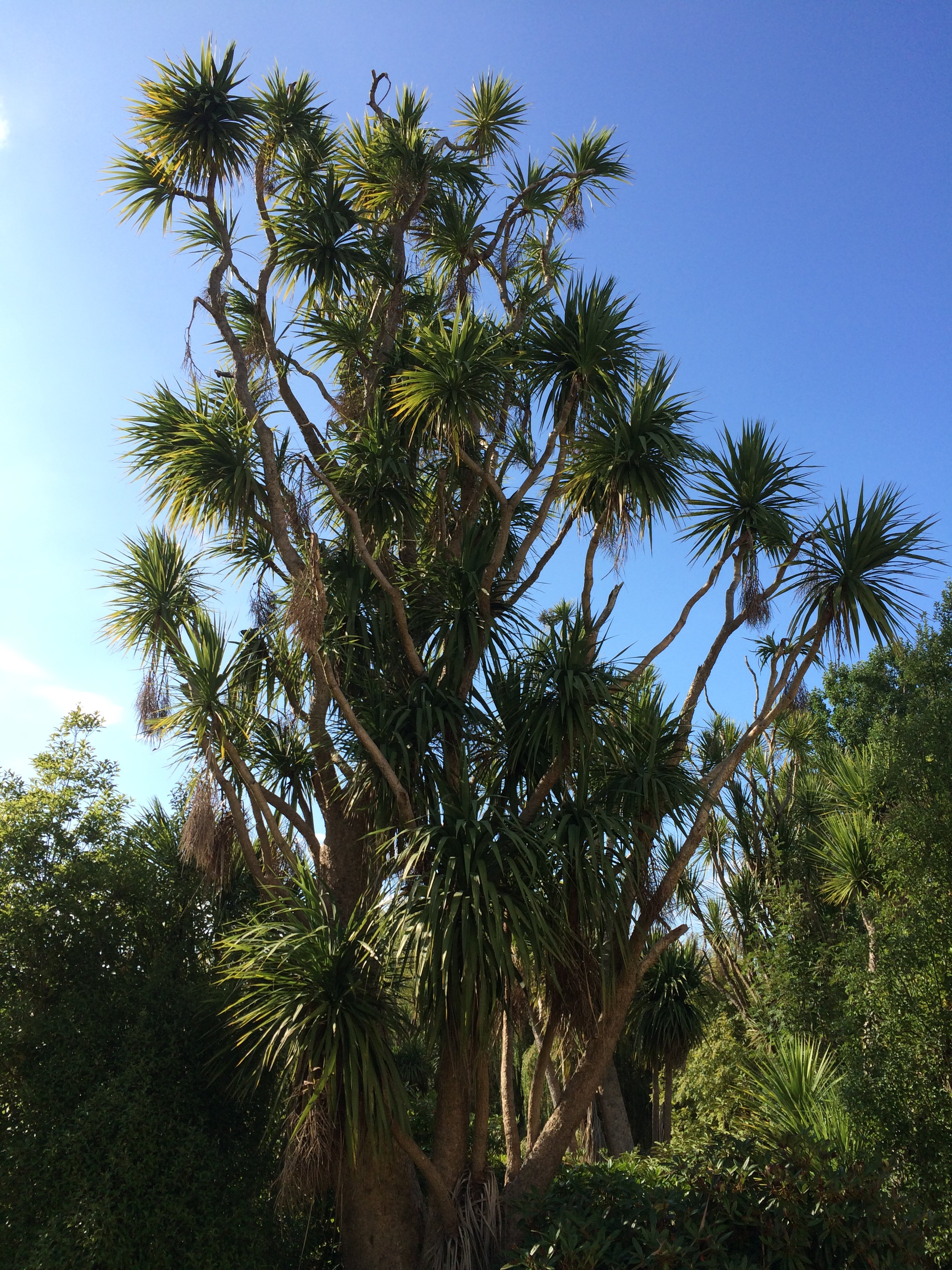 Telford Field Trip 045