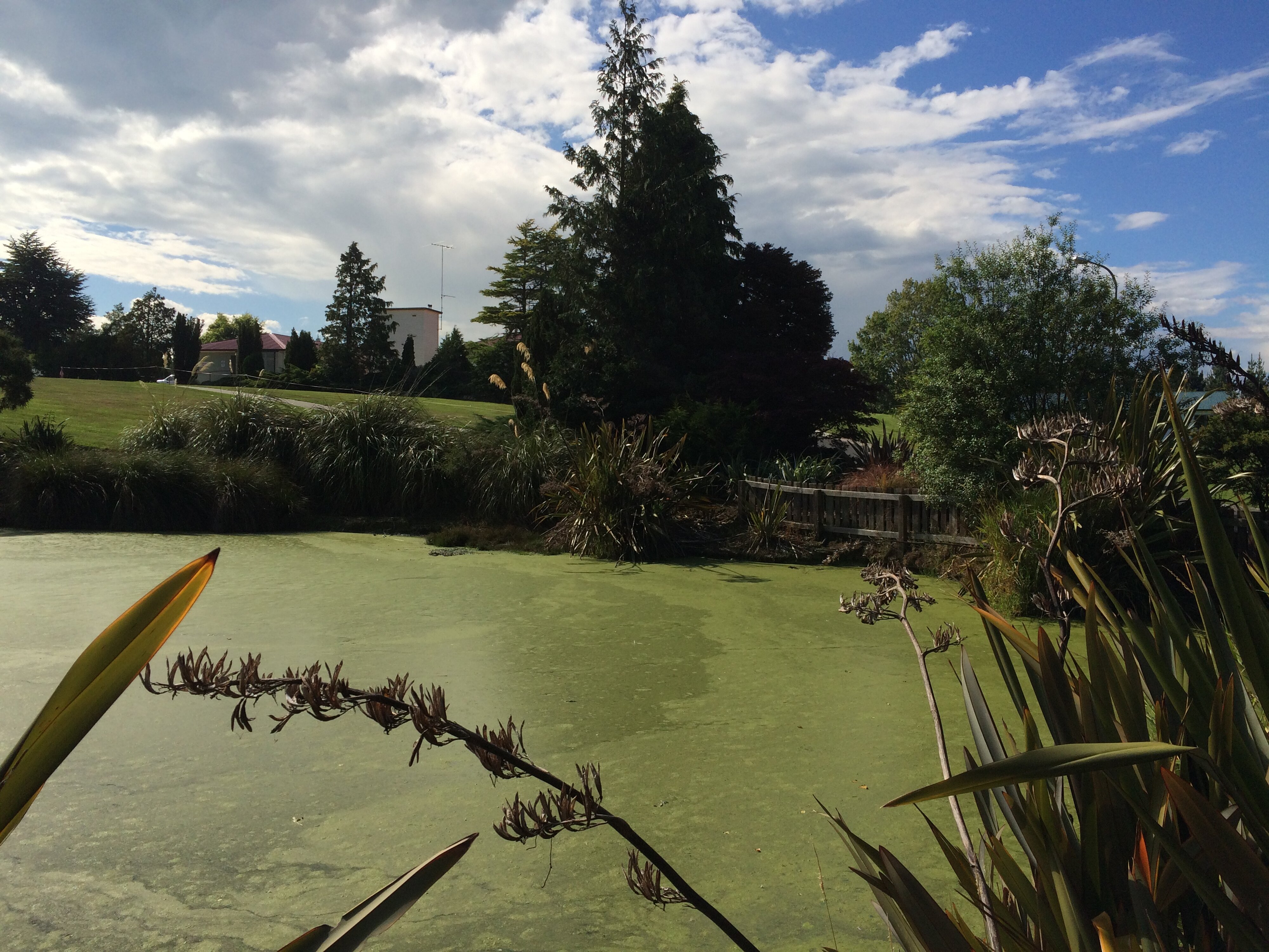 Telford Field Trip 053