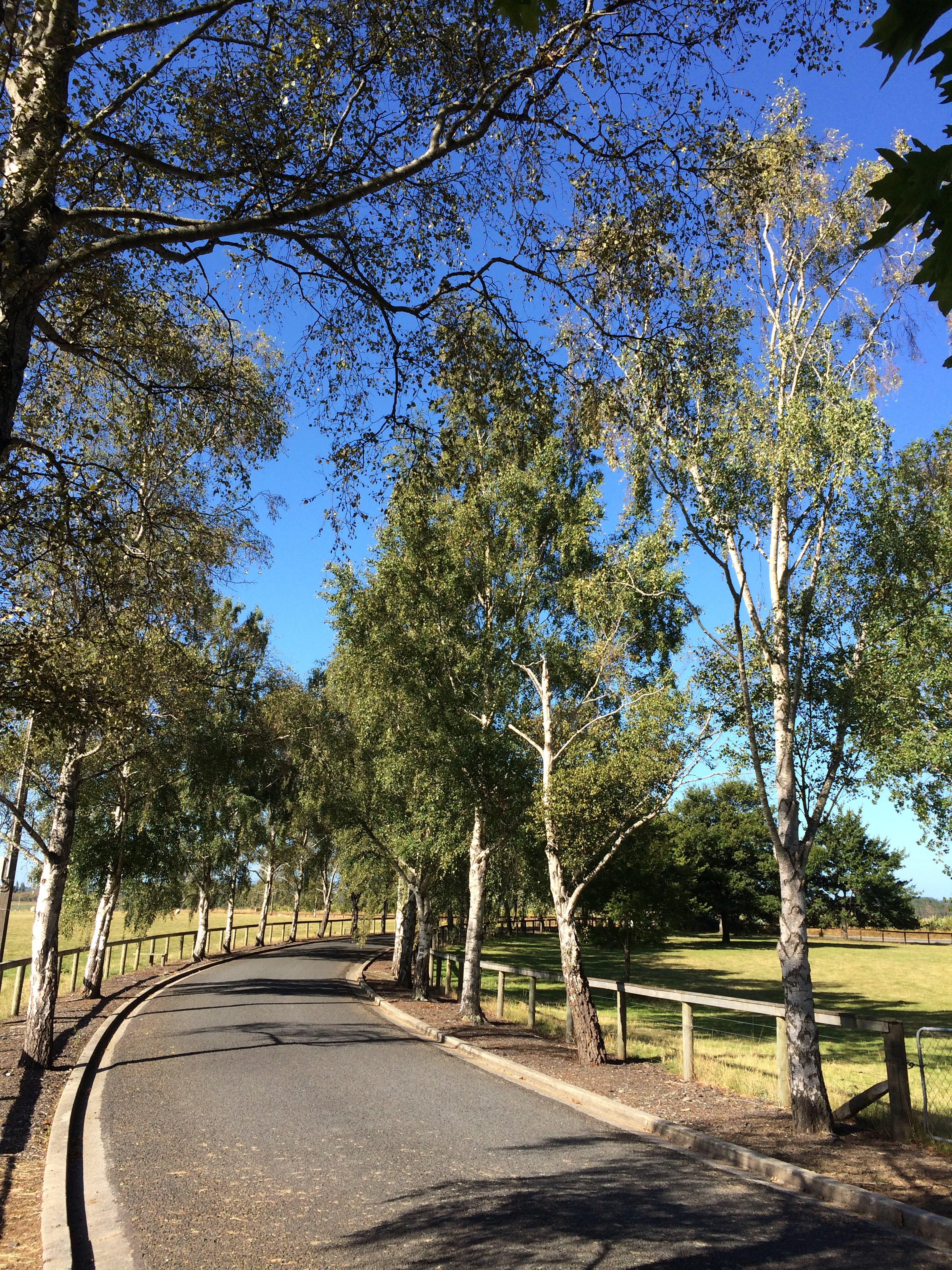 Telford Field Trip 071