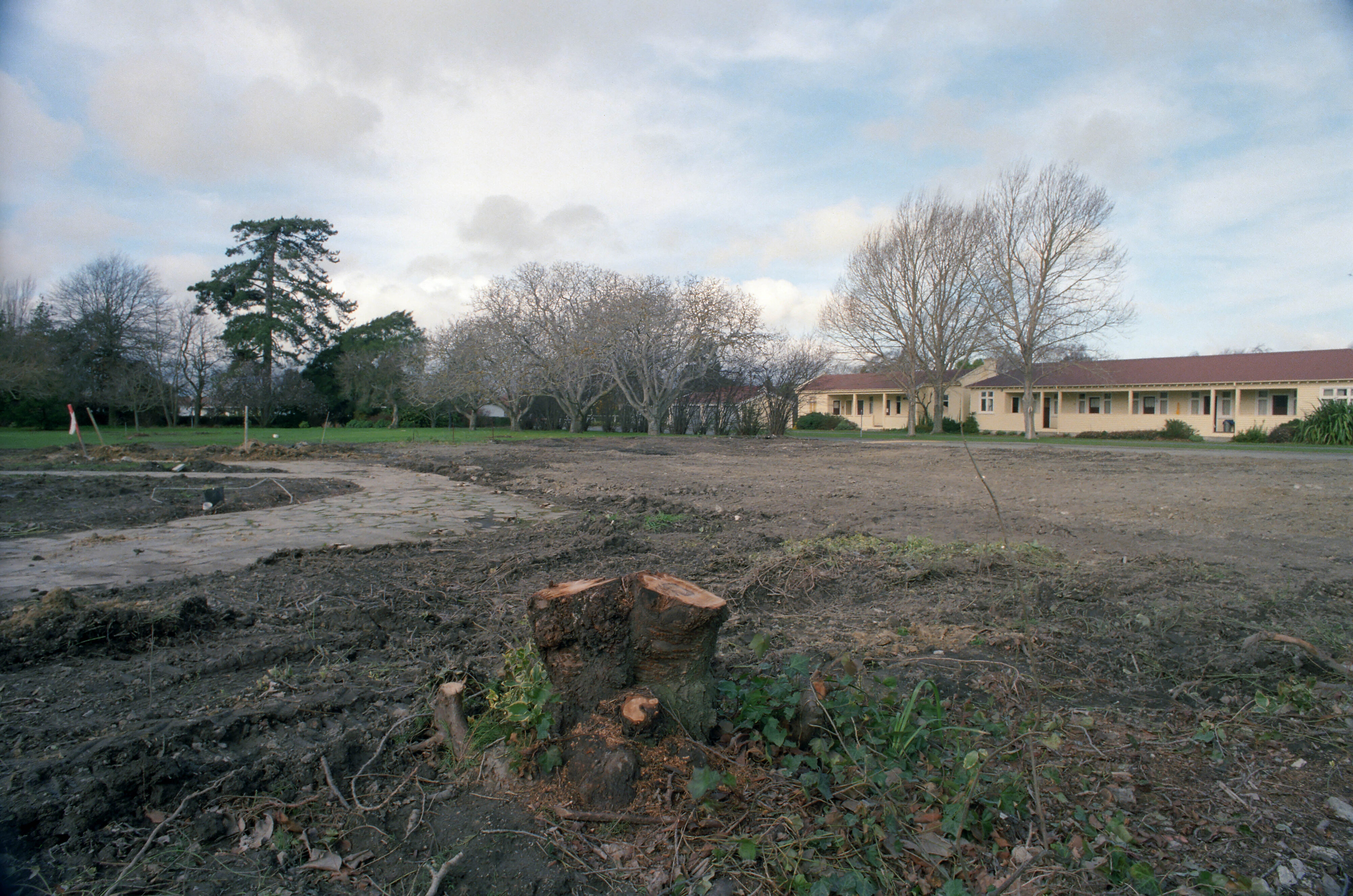 Commerce Building Construction 12