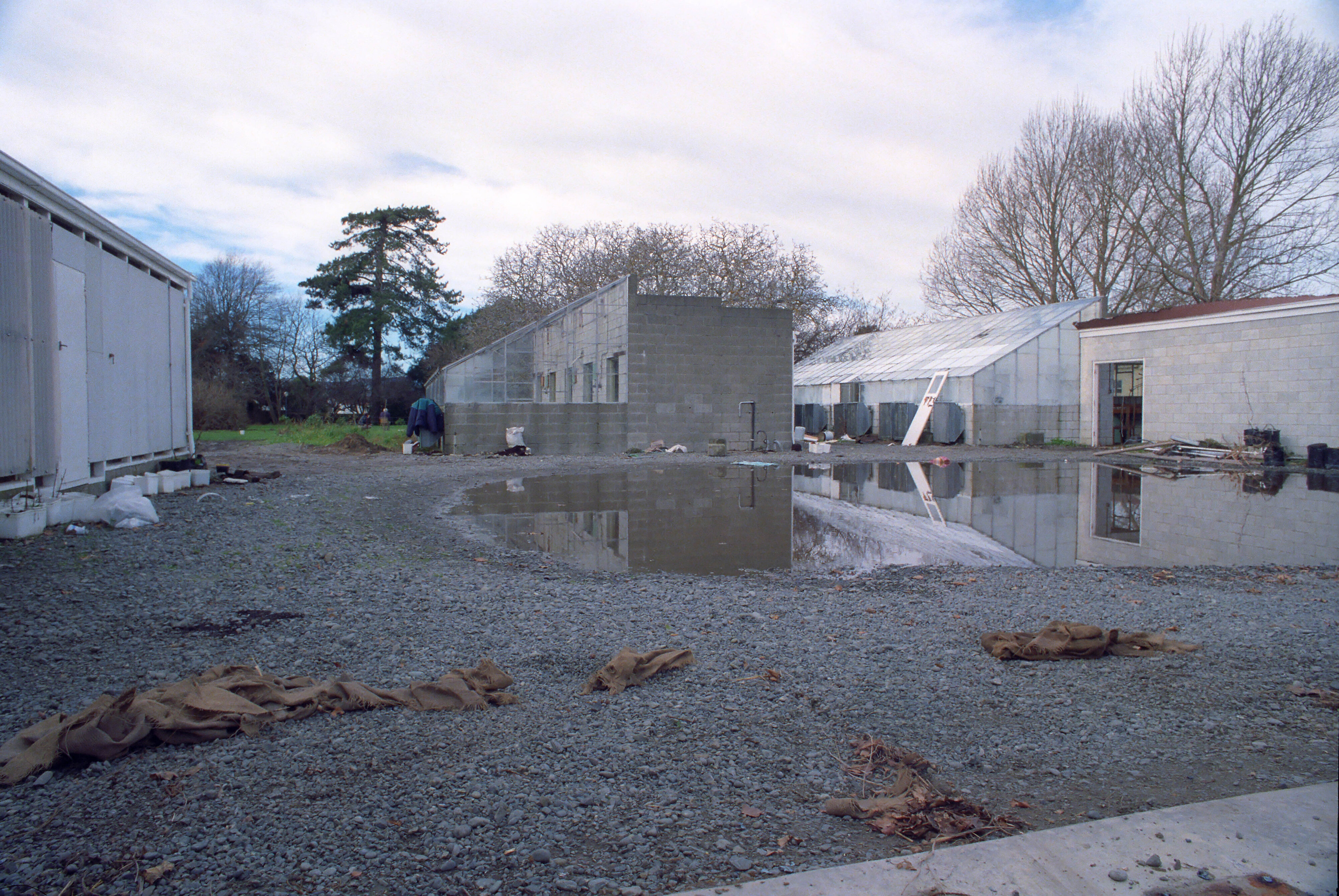 Commerce Building Construction 13