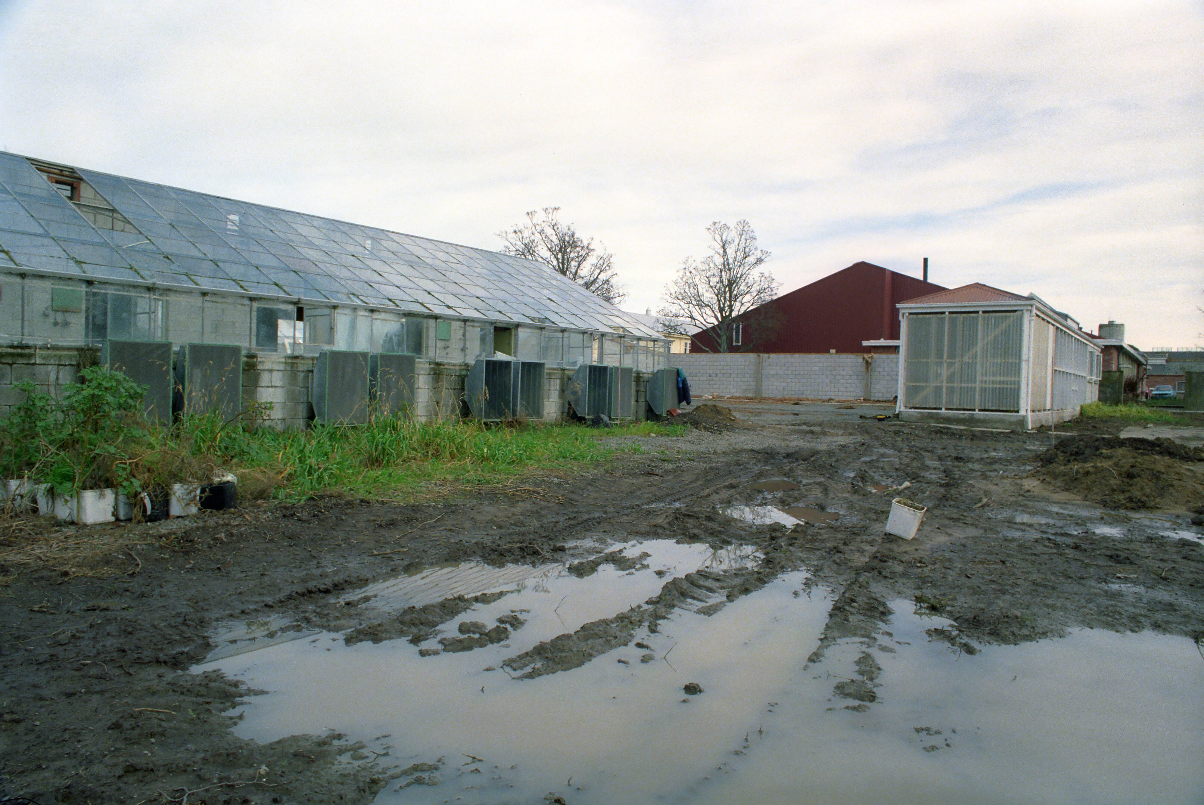 Commerce Building Construction 15