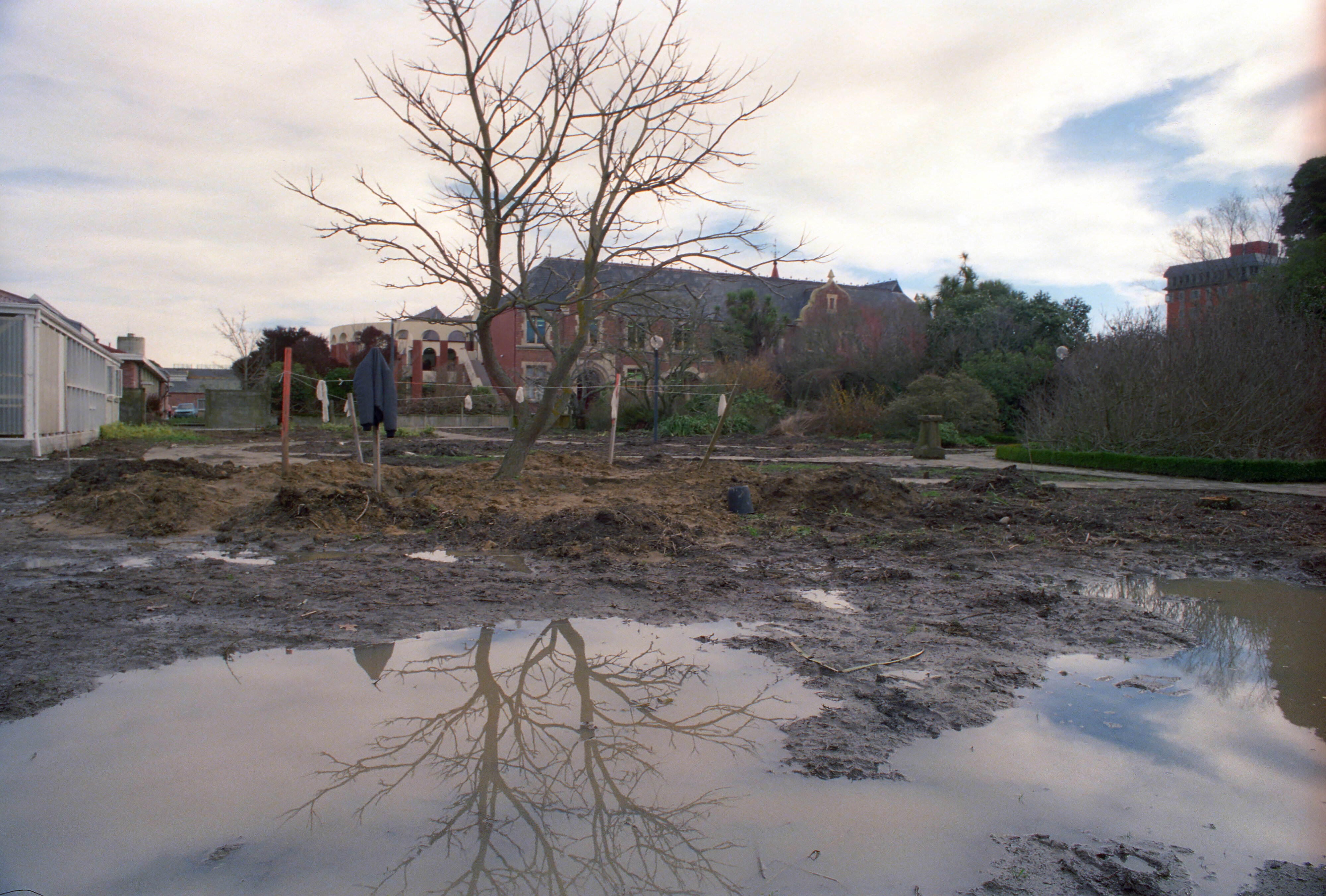 Commerce Building Construction 16