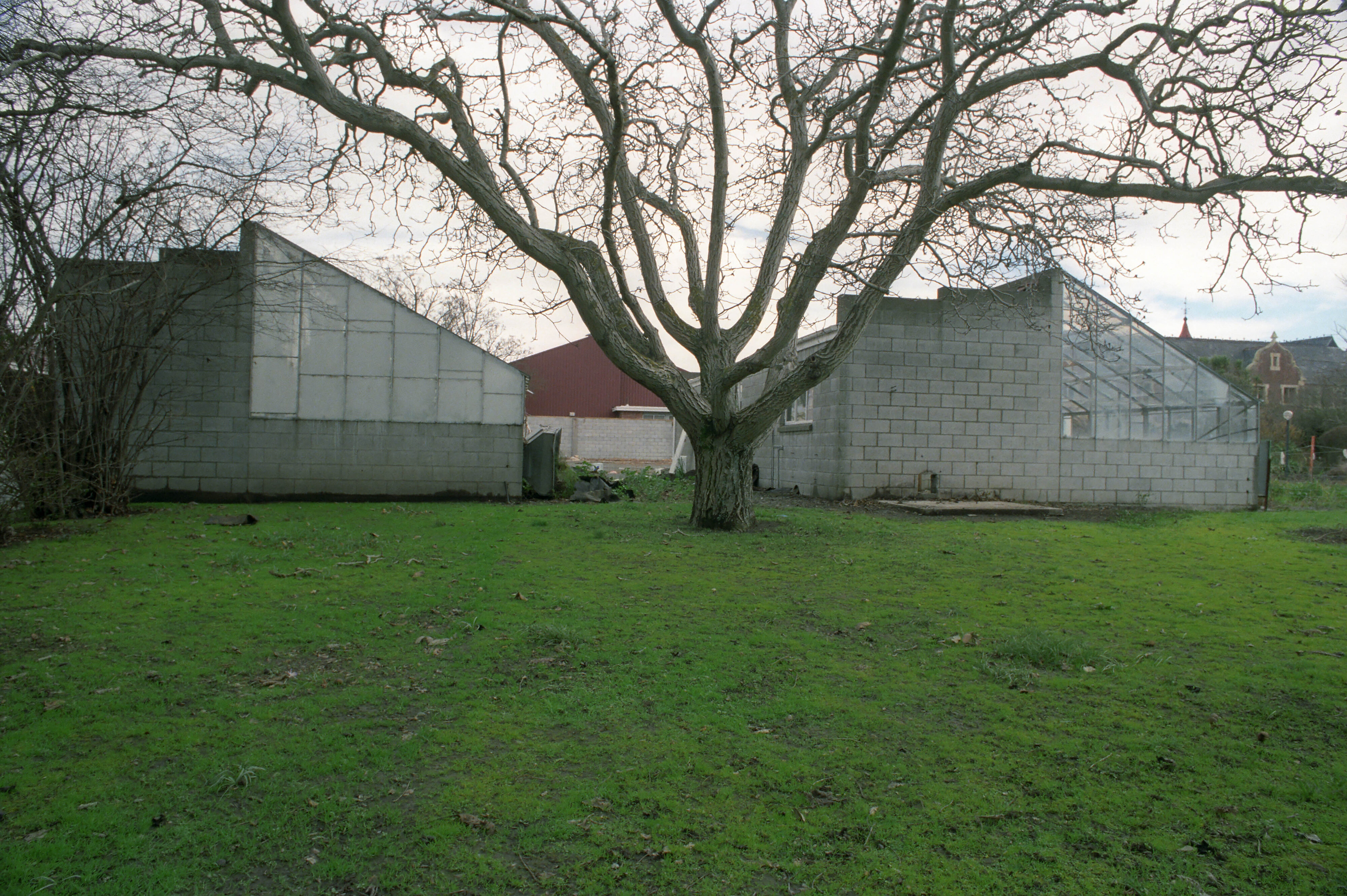 Commerce Building Construction 18