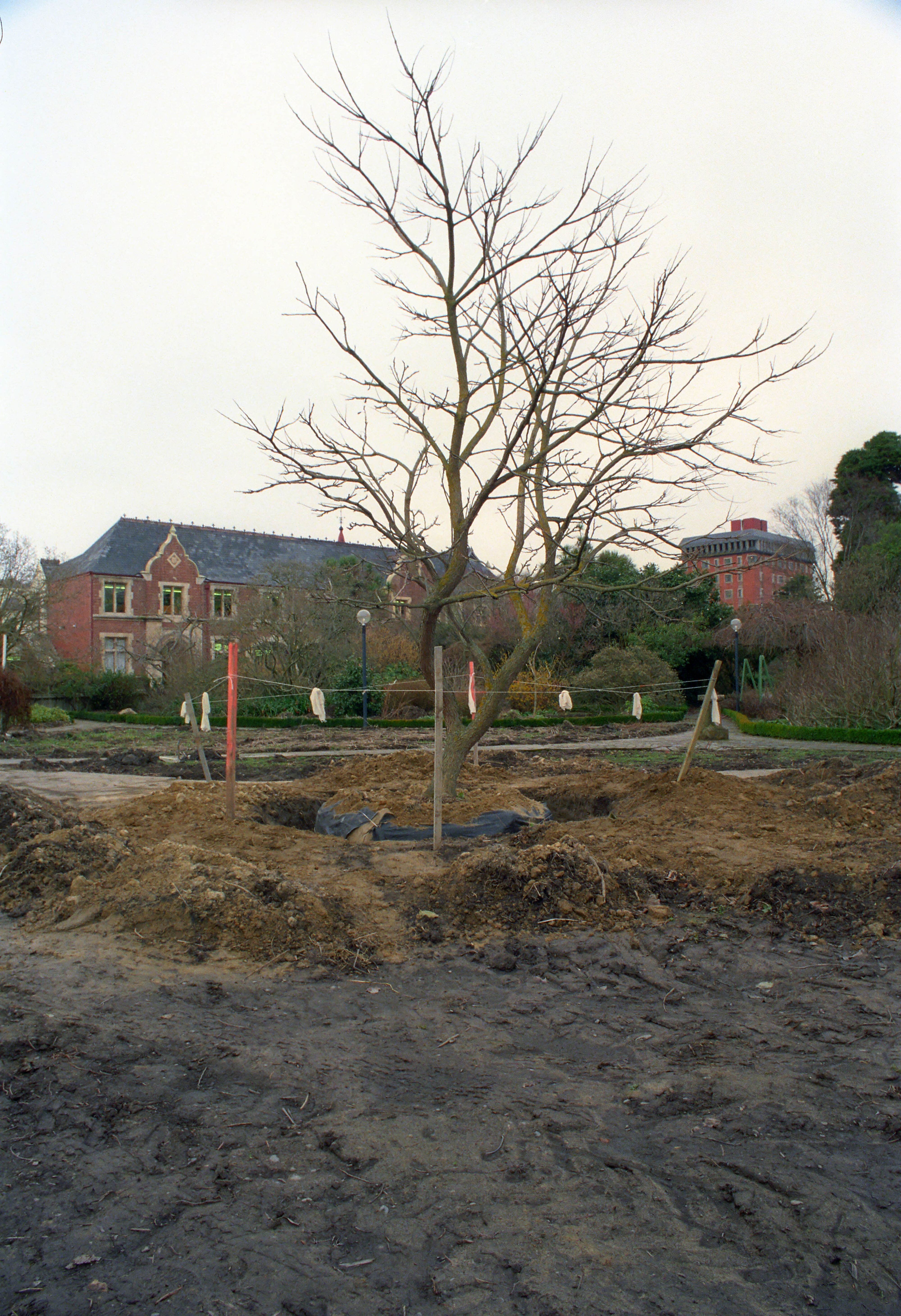 Commerce Building Construction 24