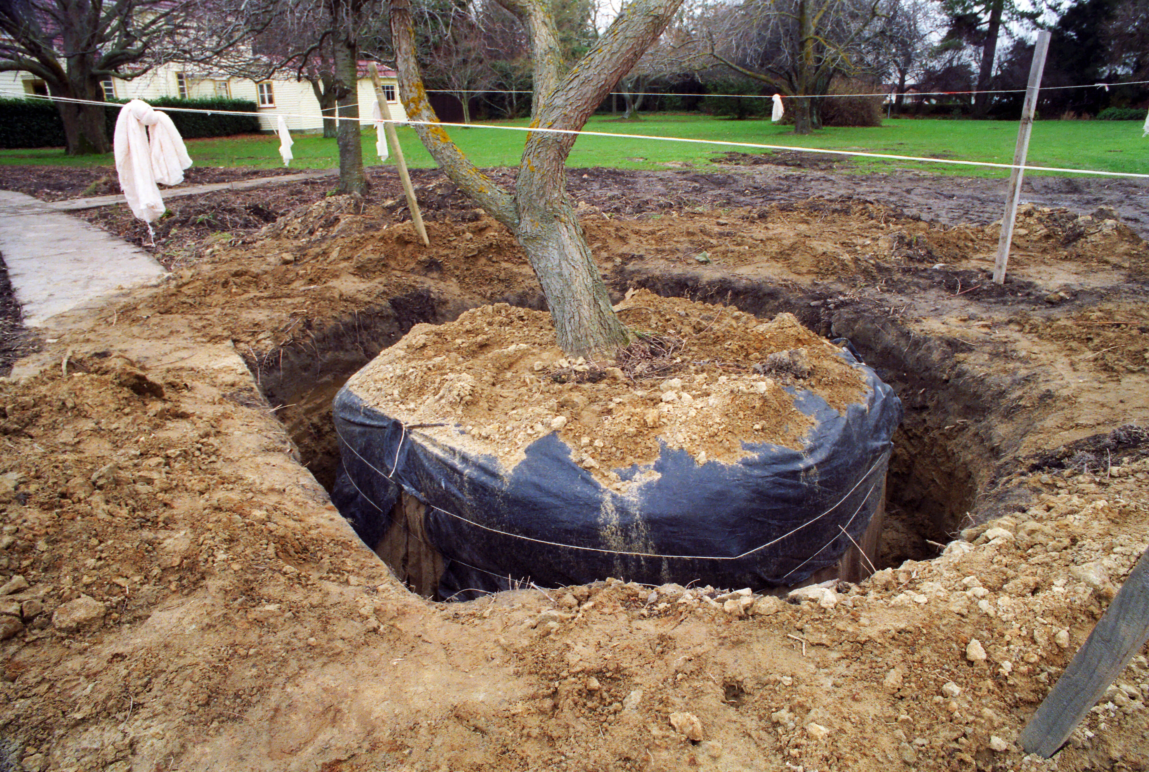 Commerce Building Construction 30