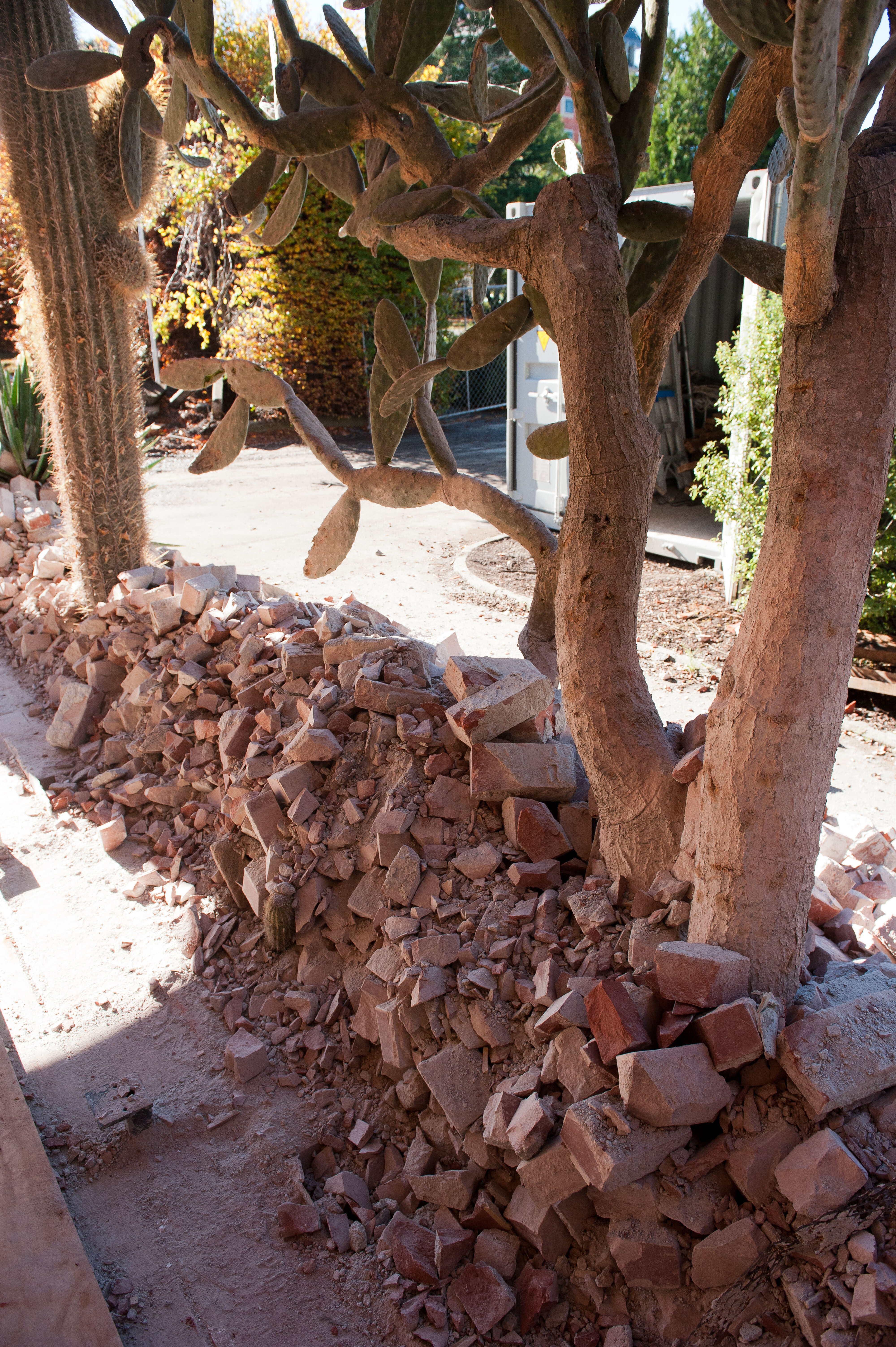 Dining Hall Deconstruction 22