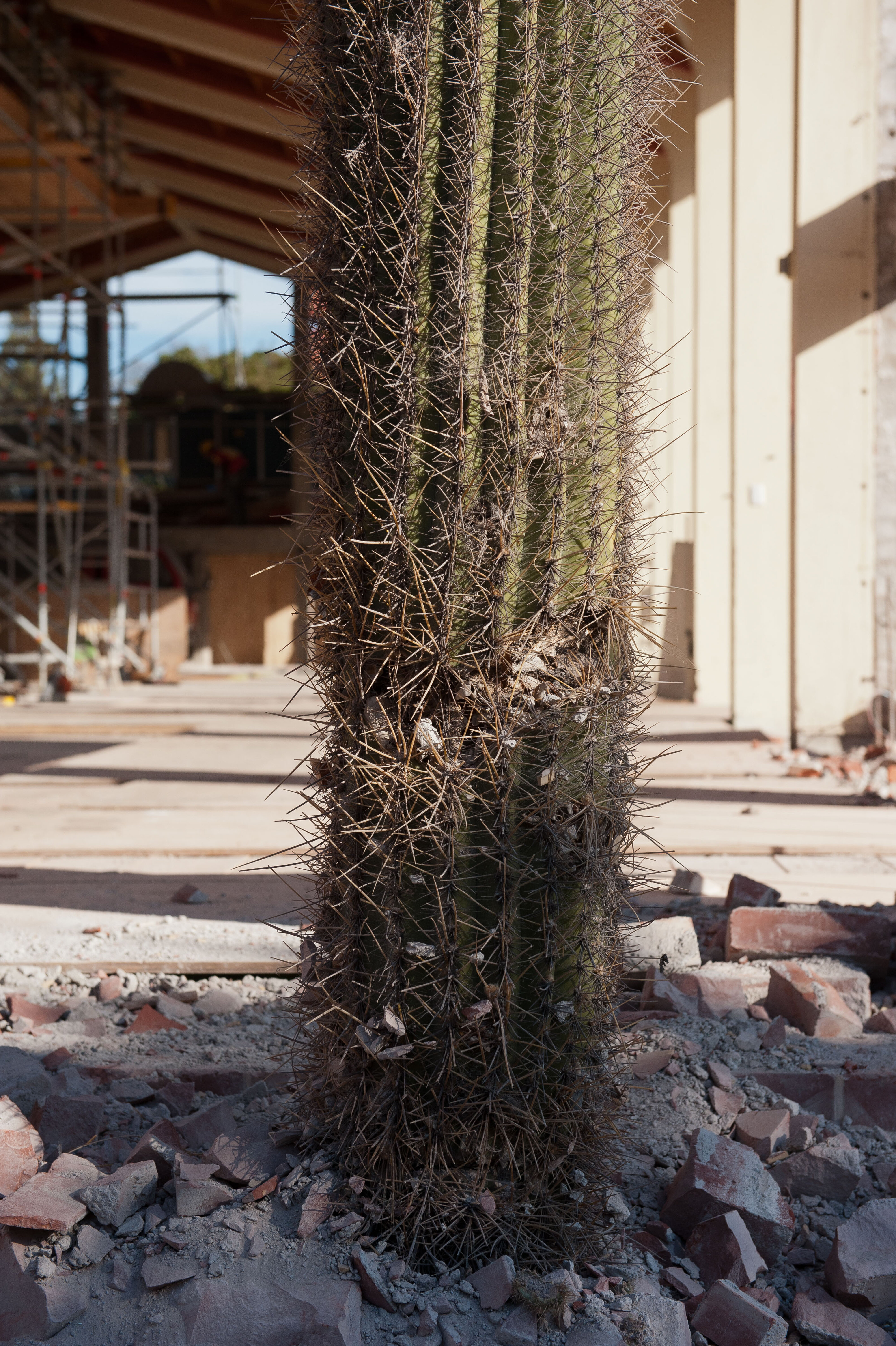 Dining Hall Deconstruction 50