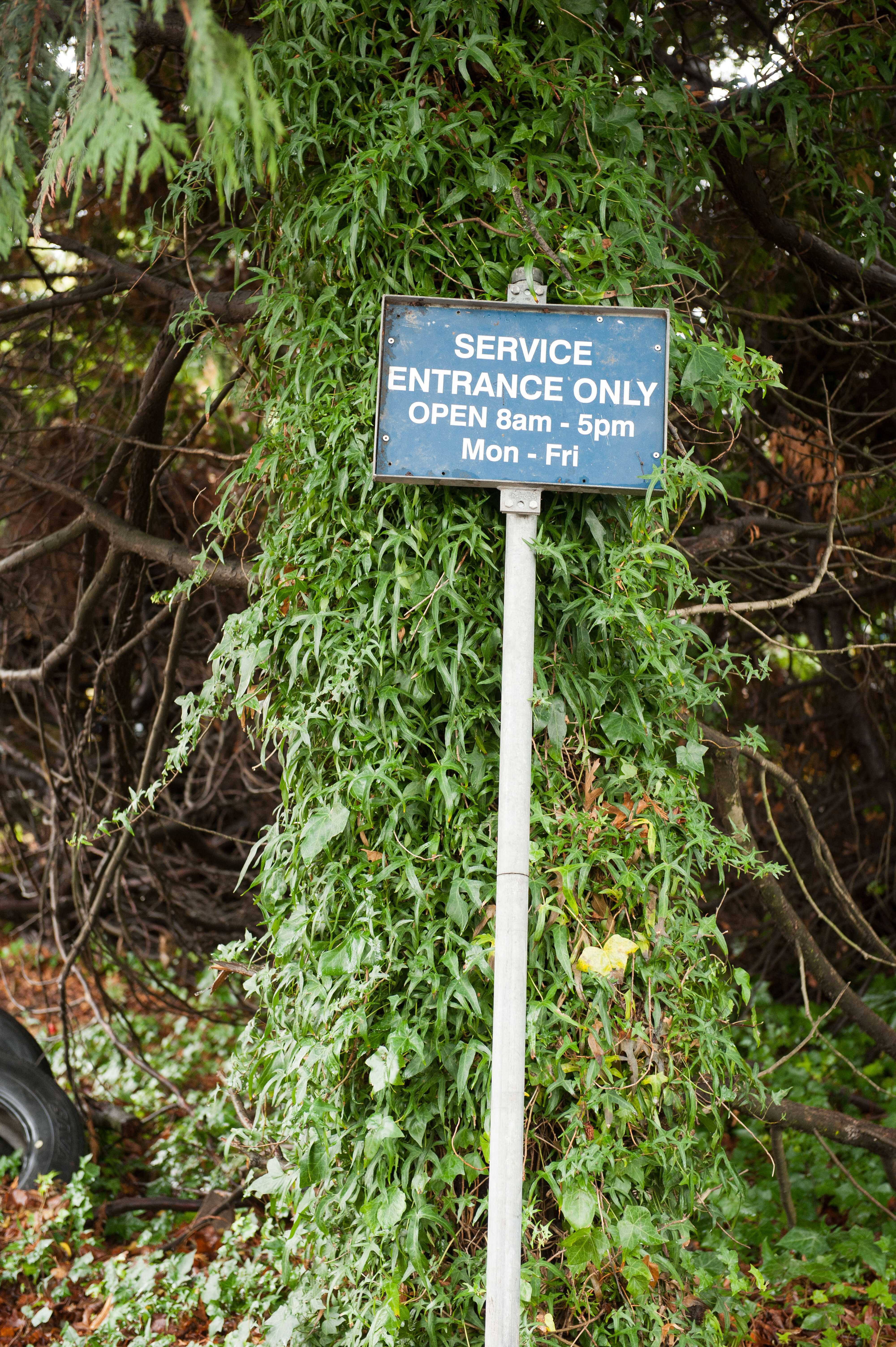 Dining Hall Deconstruction 63