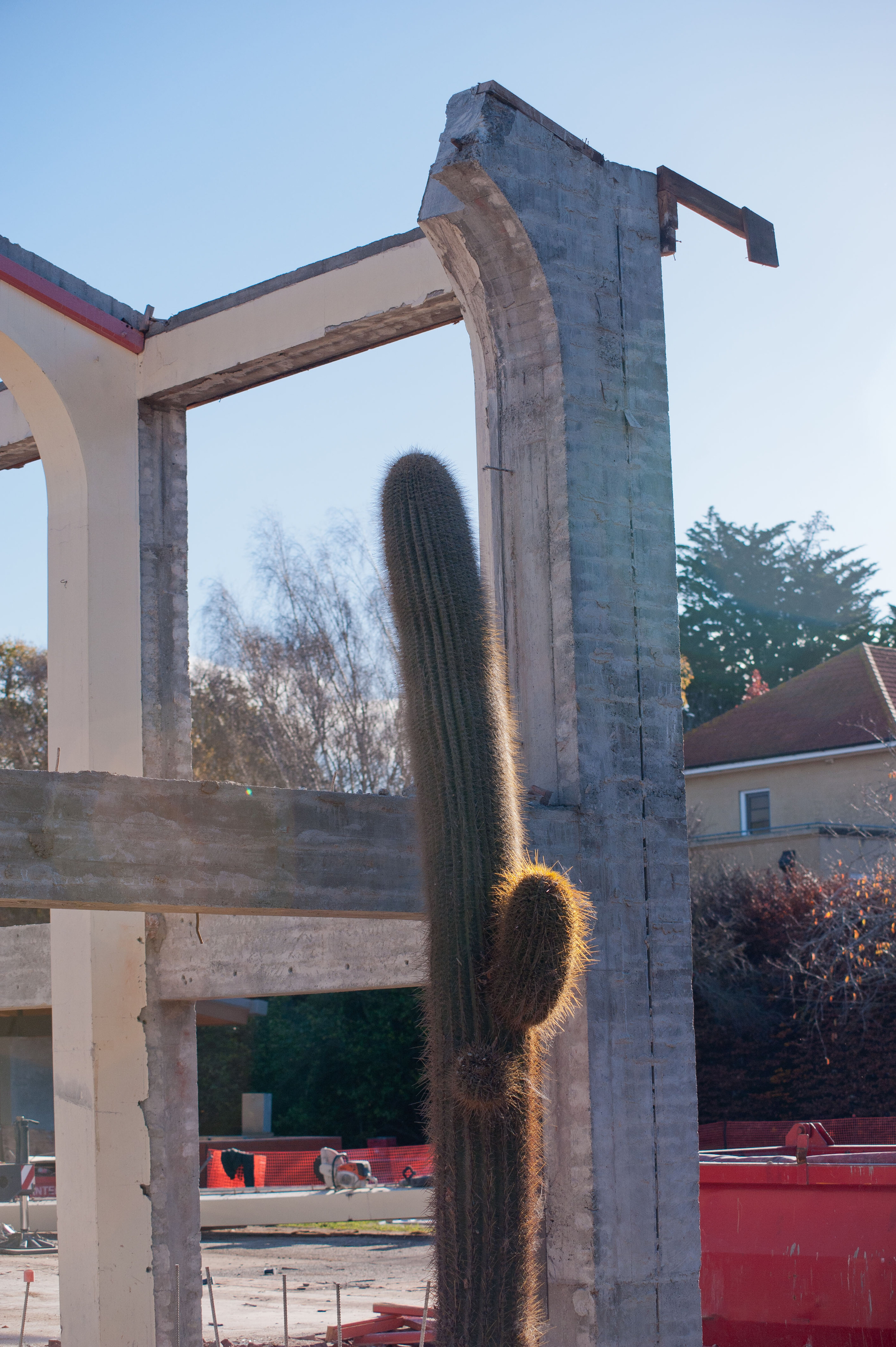 Dining Hall Deconstruction 124