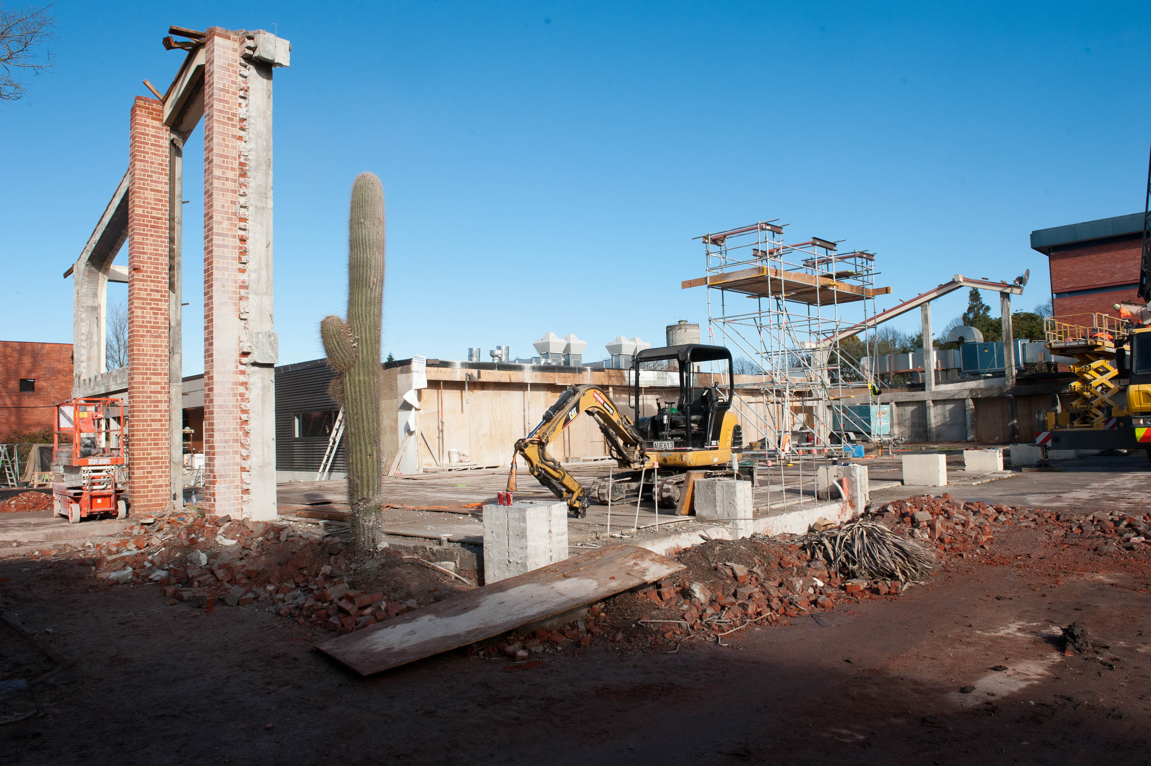 Dining Hall Deconstruction 163