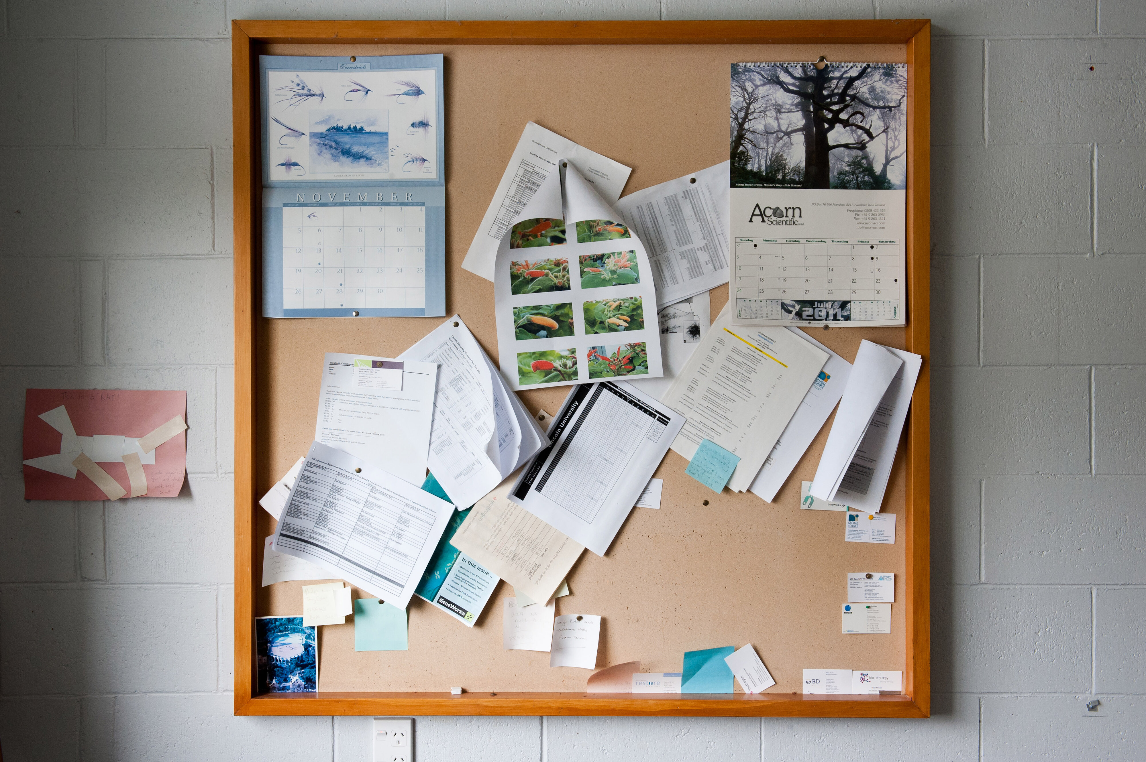 Hilgendorf Wing Interiors 51