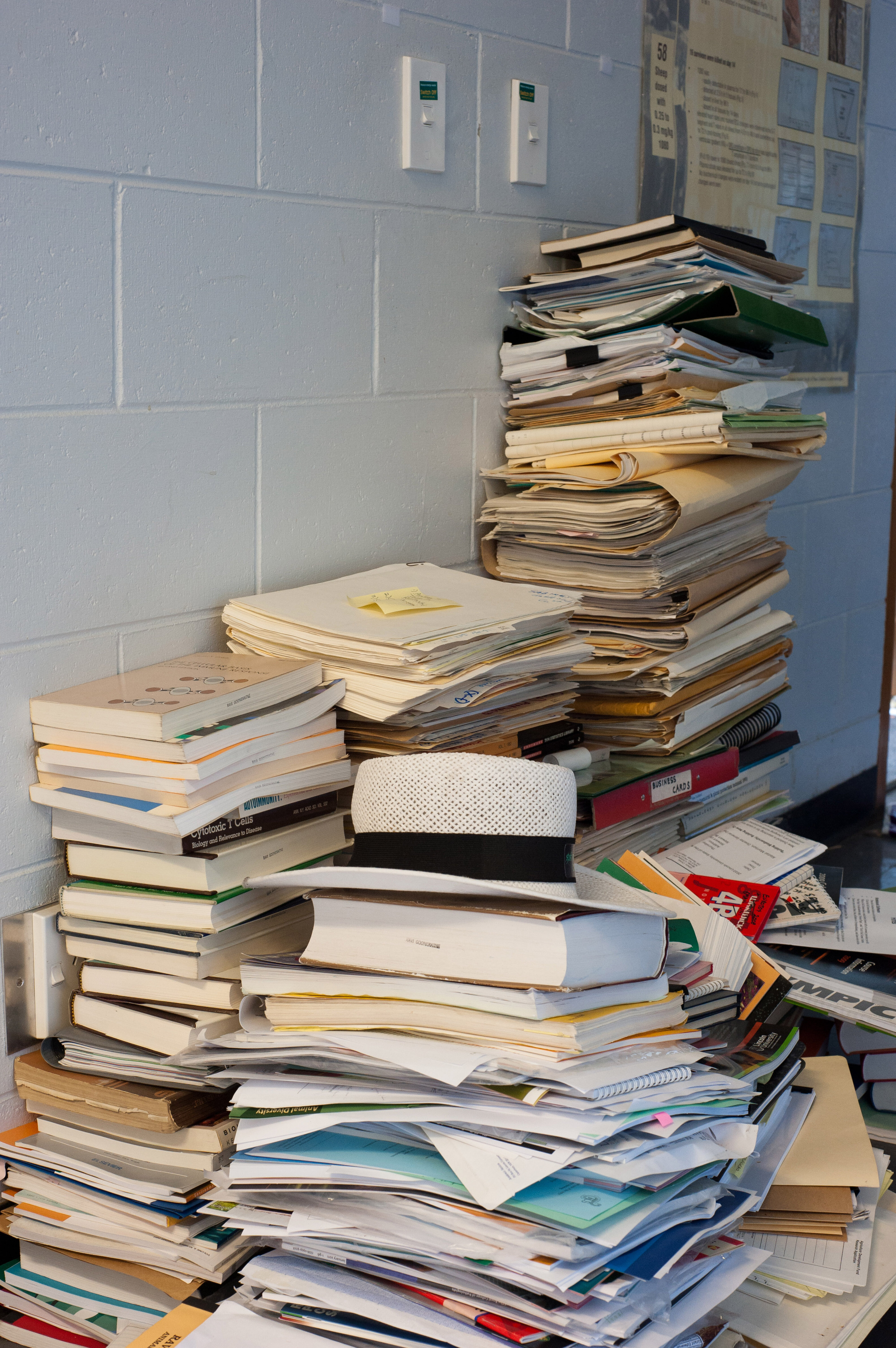 Hilgendorf  Building Interiors 14