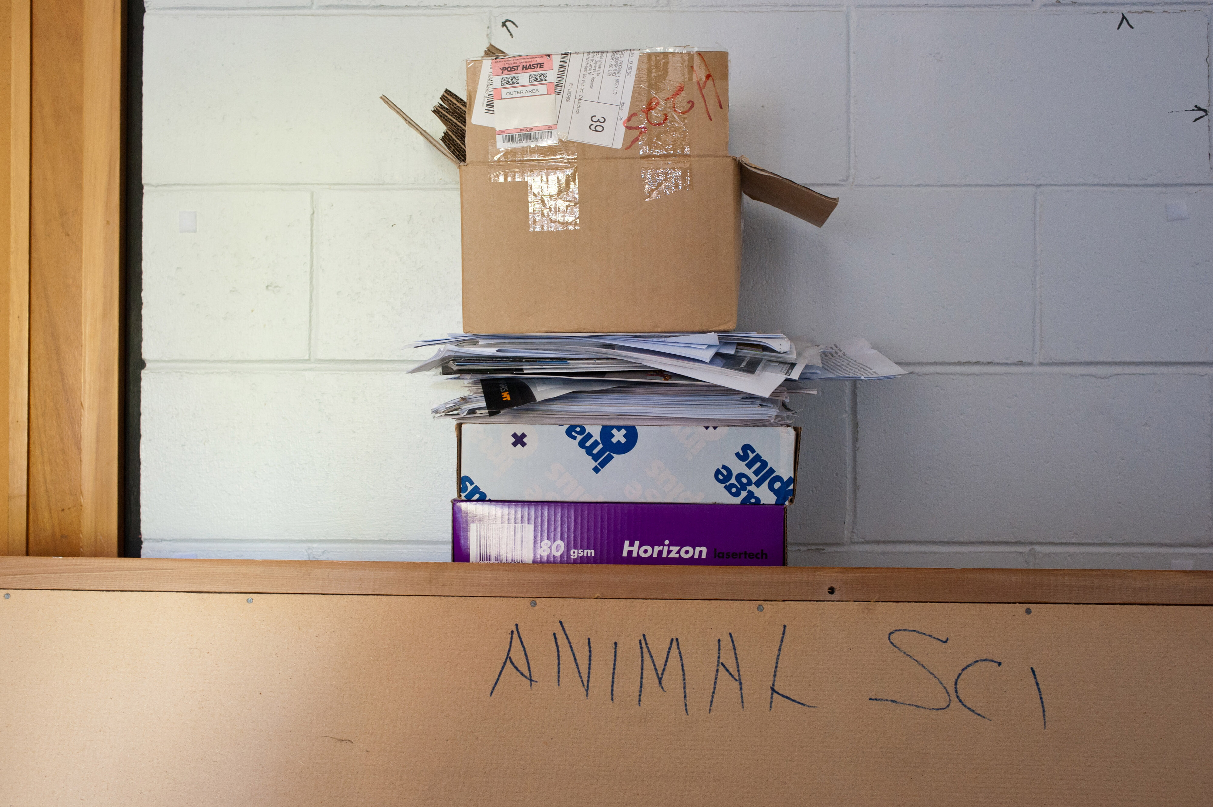 Hilgendorf  Building Interiors 17