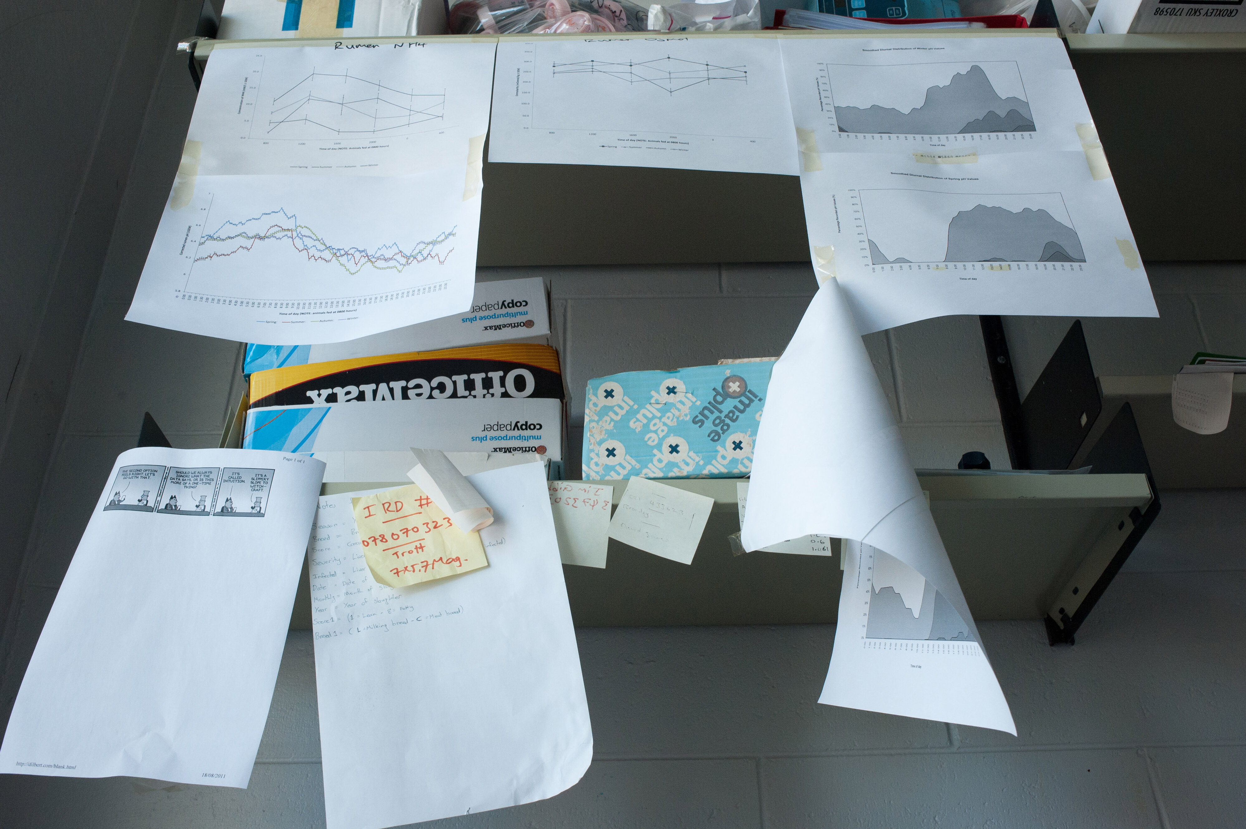 Hilgendorf  Building Interiors 21