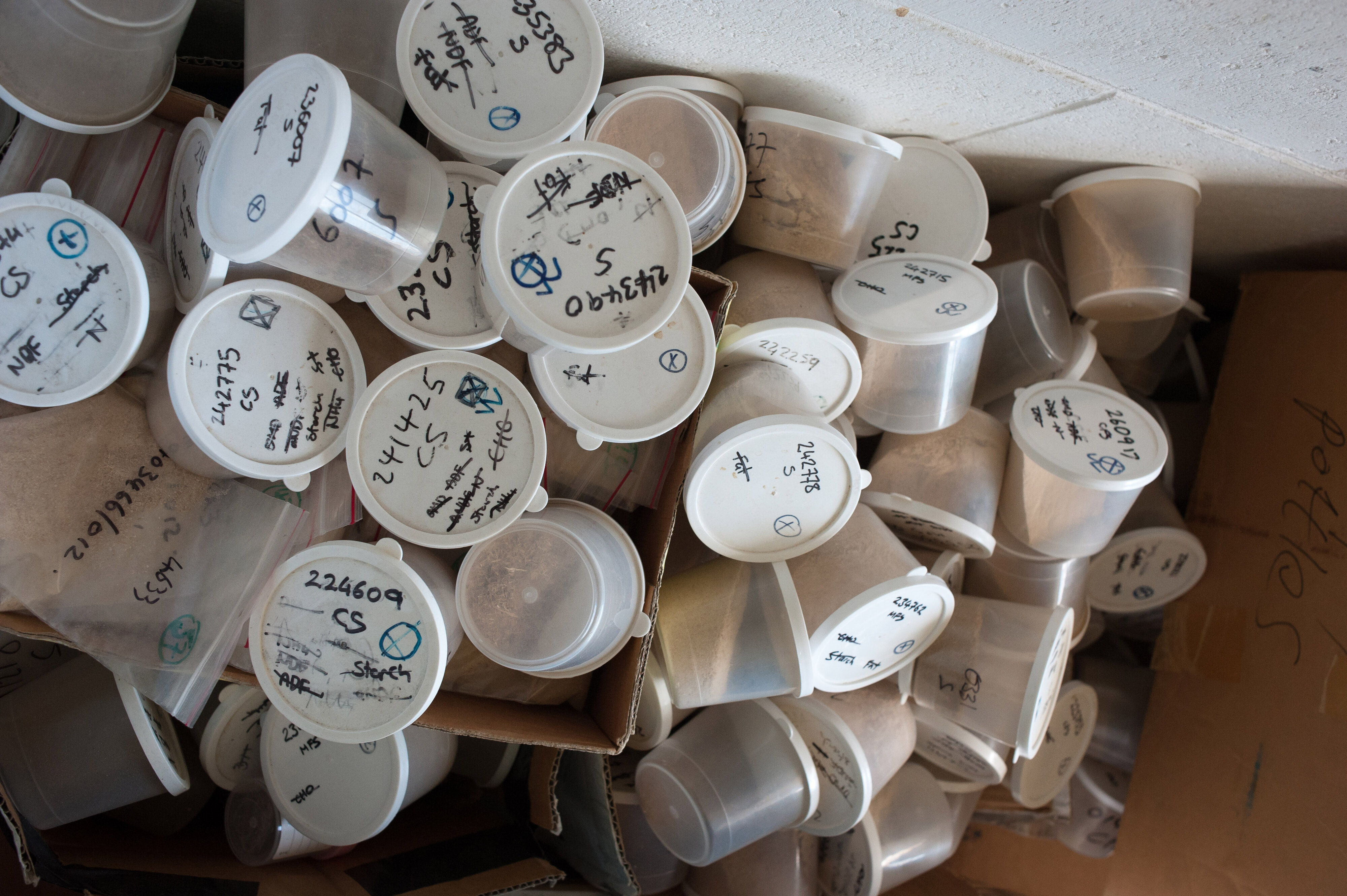 Hilgendorf  Building Interiors 22