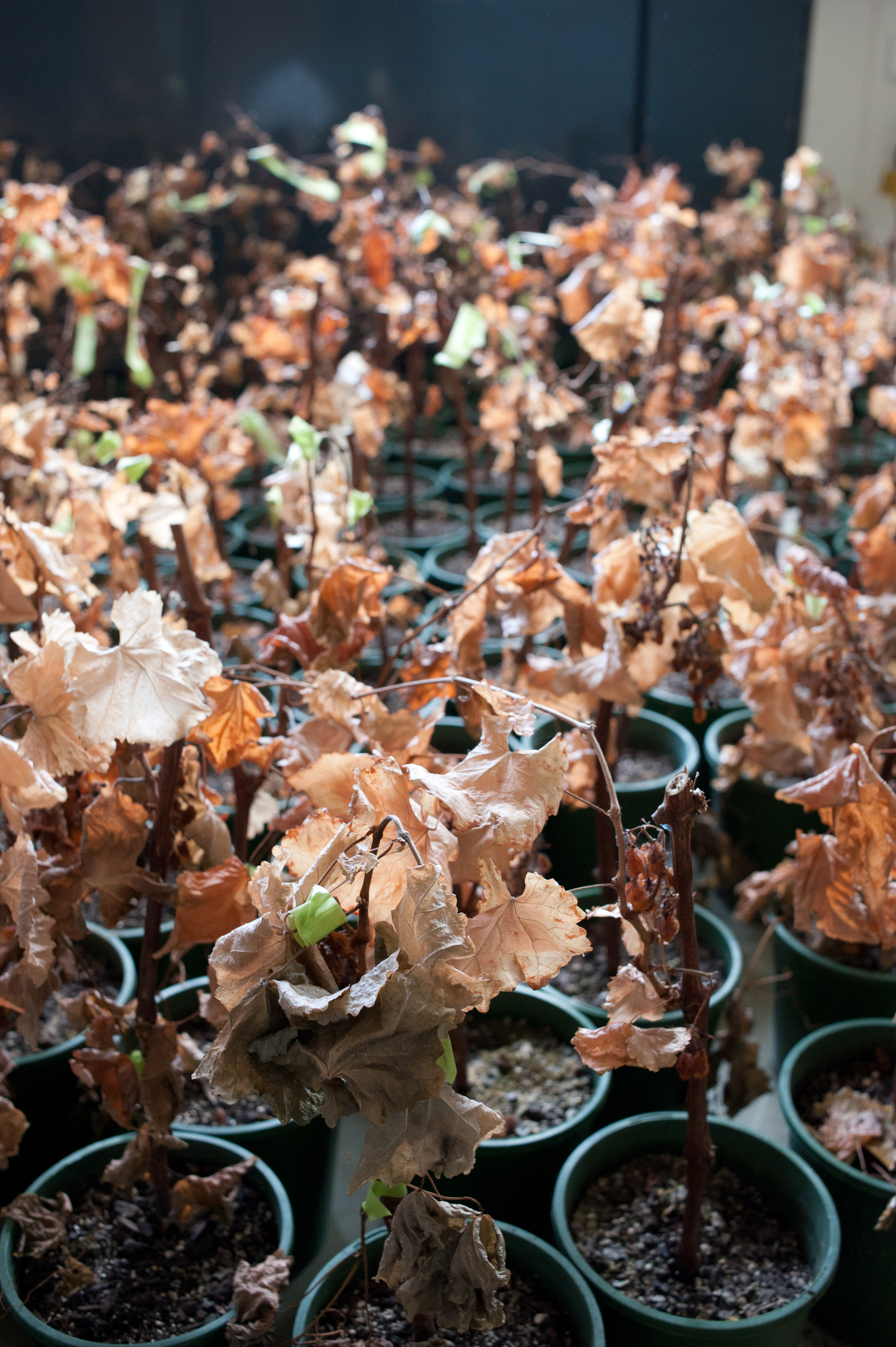 Hilgendorf  Building Interiors 27