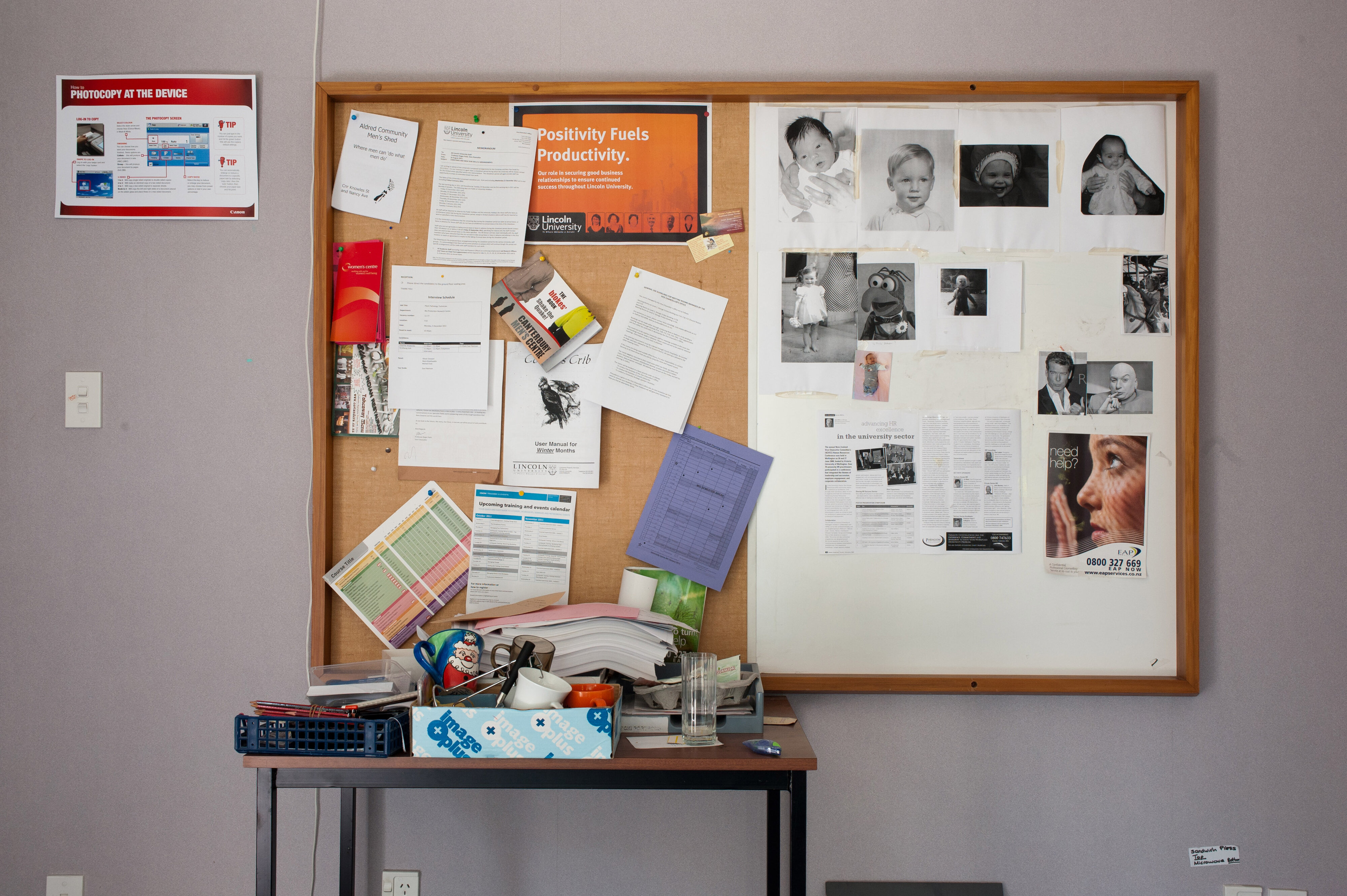 Hilgendorf  Building Interiors 44