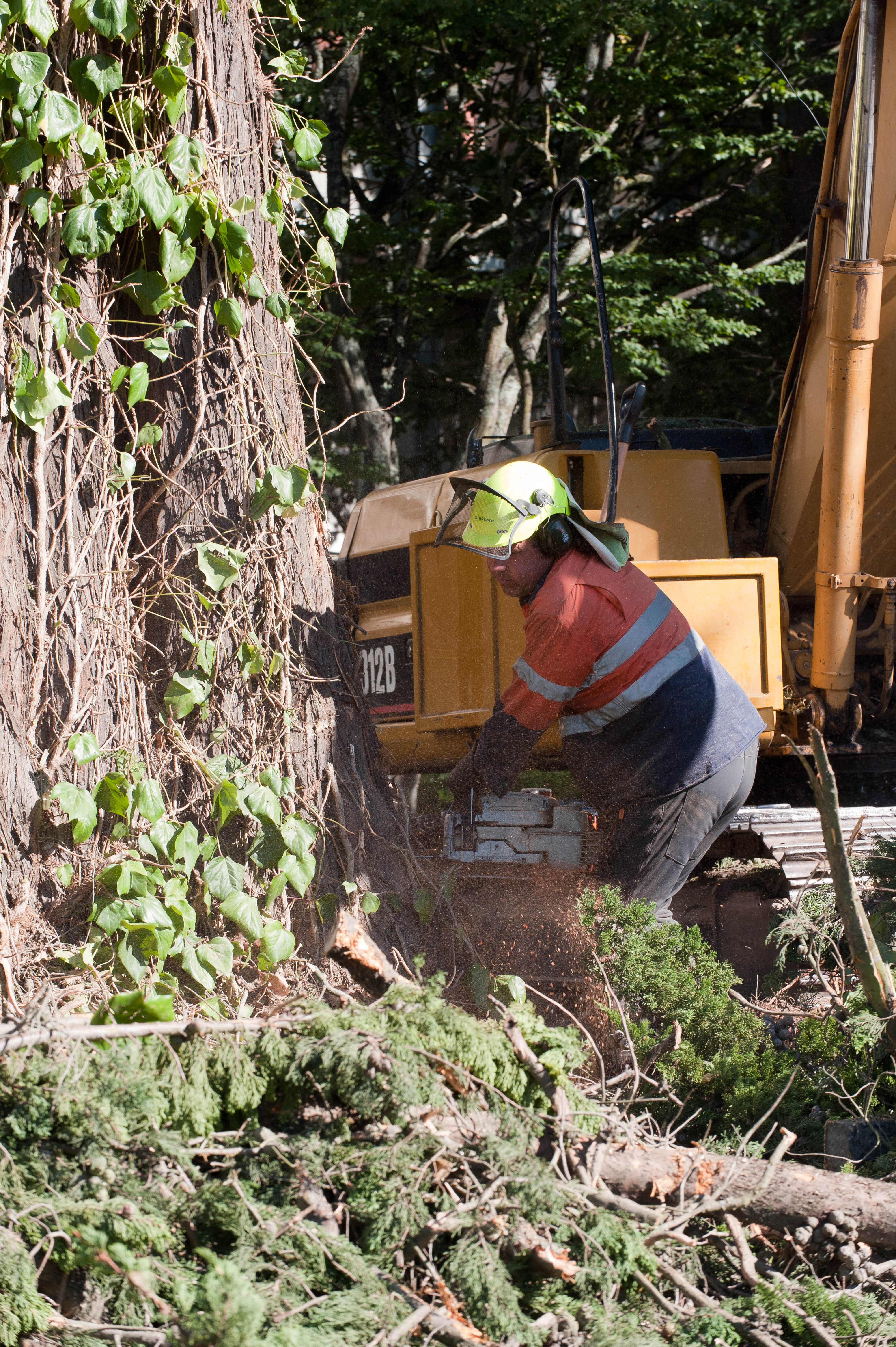 Hilgendorf Redevelopment 3