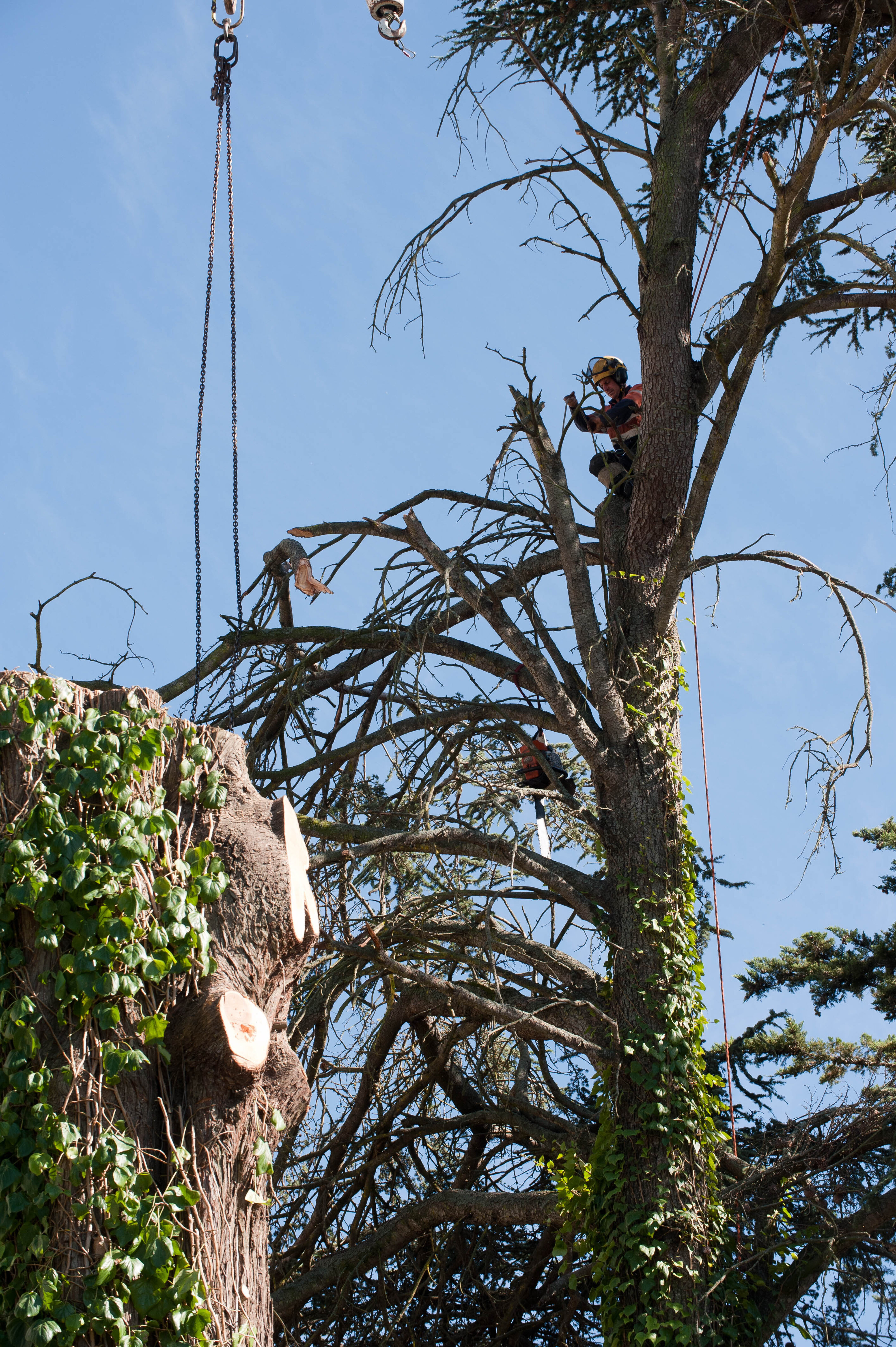 Hilgendorf Redevelopment 4