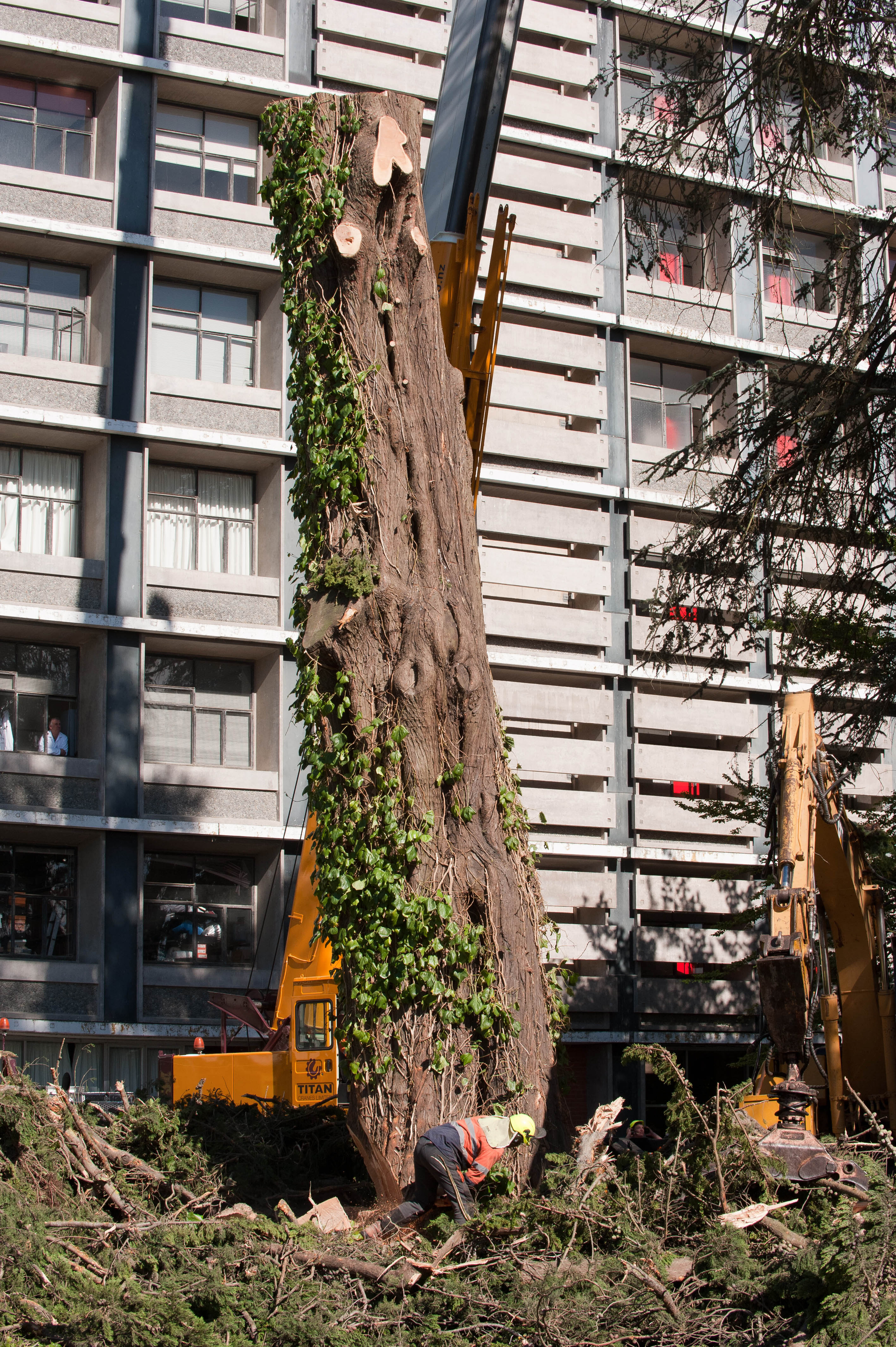 Hilgendorf Redevelopment 5