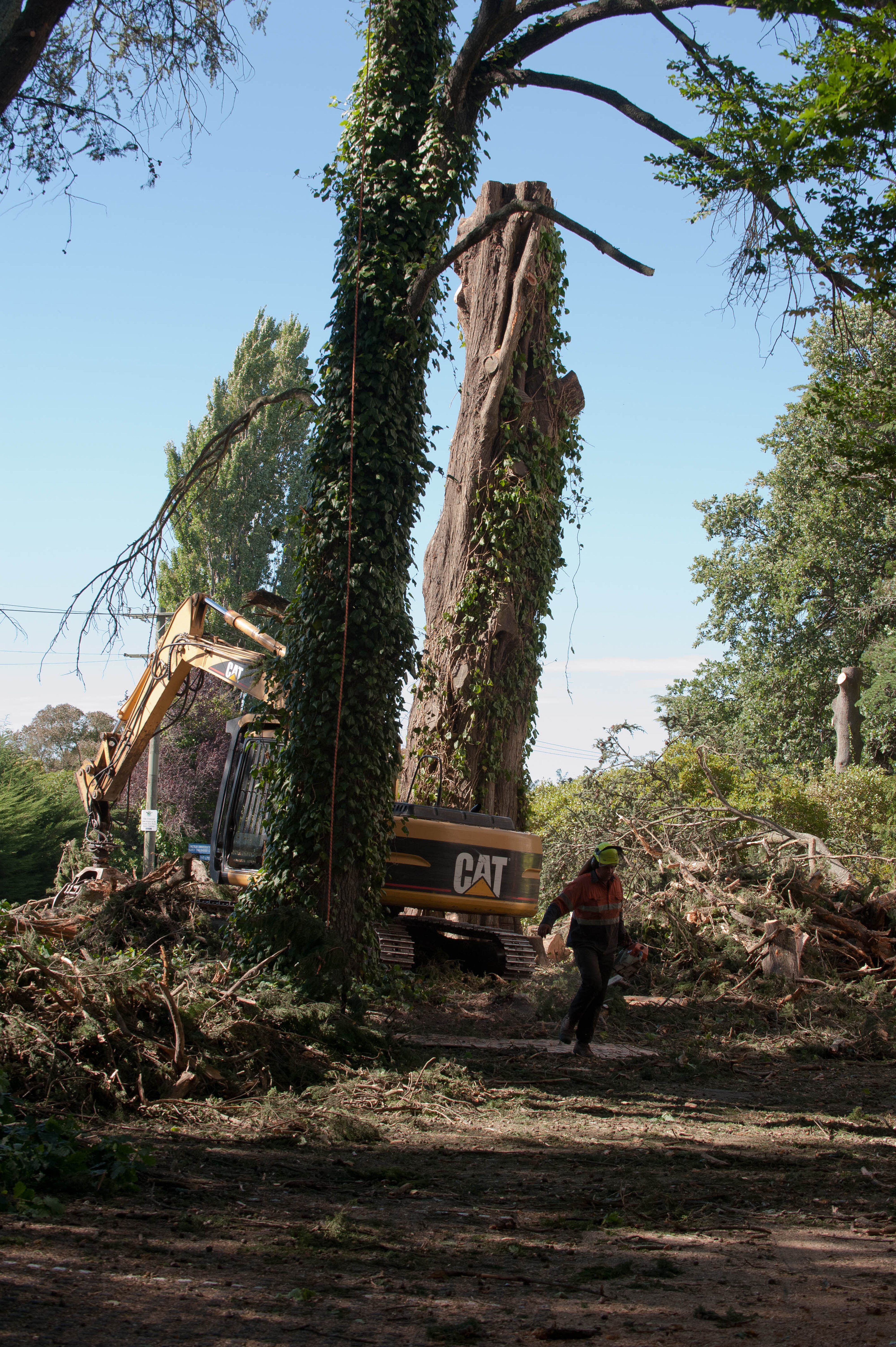 Hilgendorf Redevelopment 6