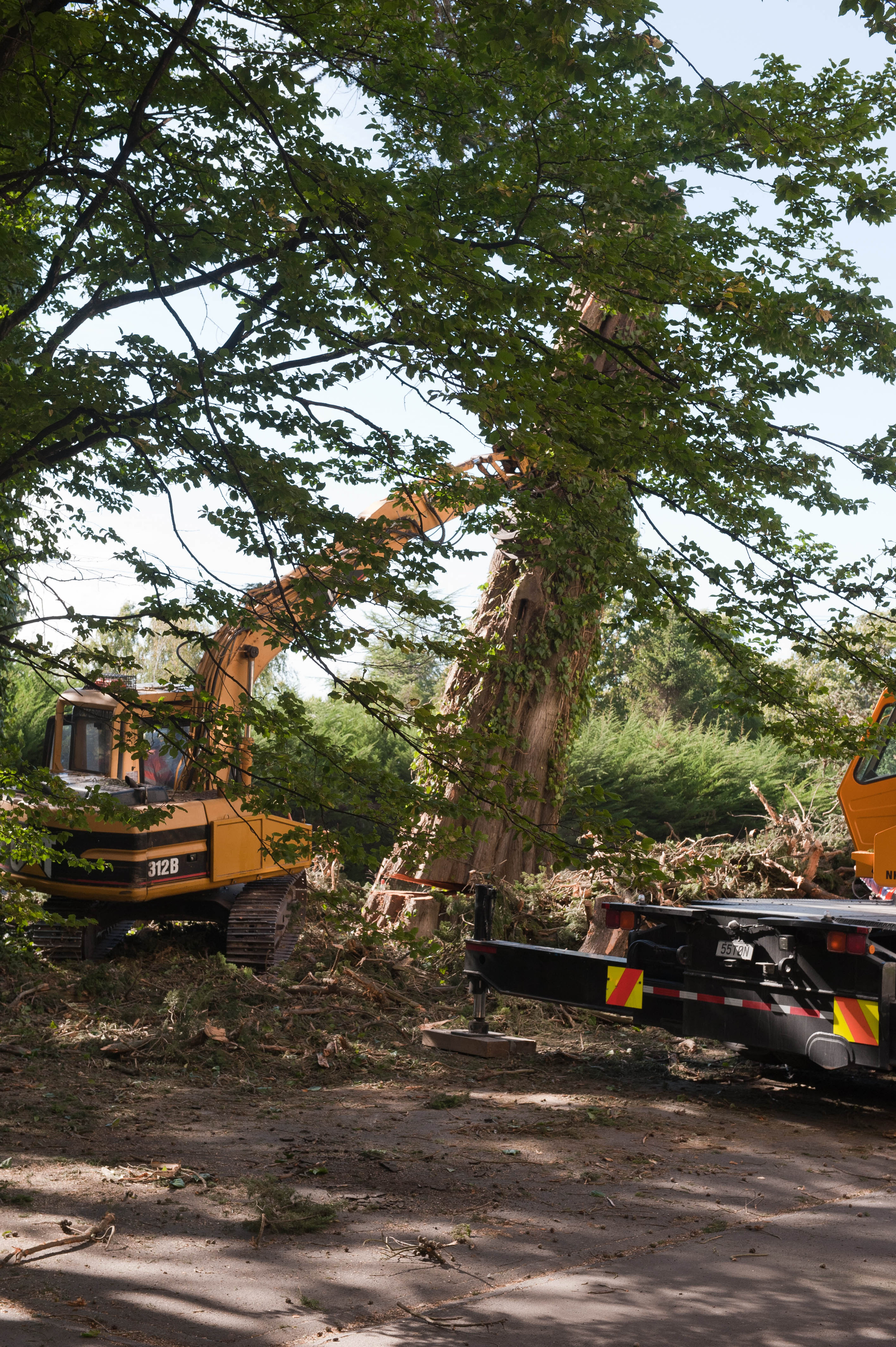 Hilgendorf Redevelopment 8